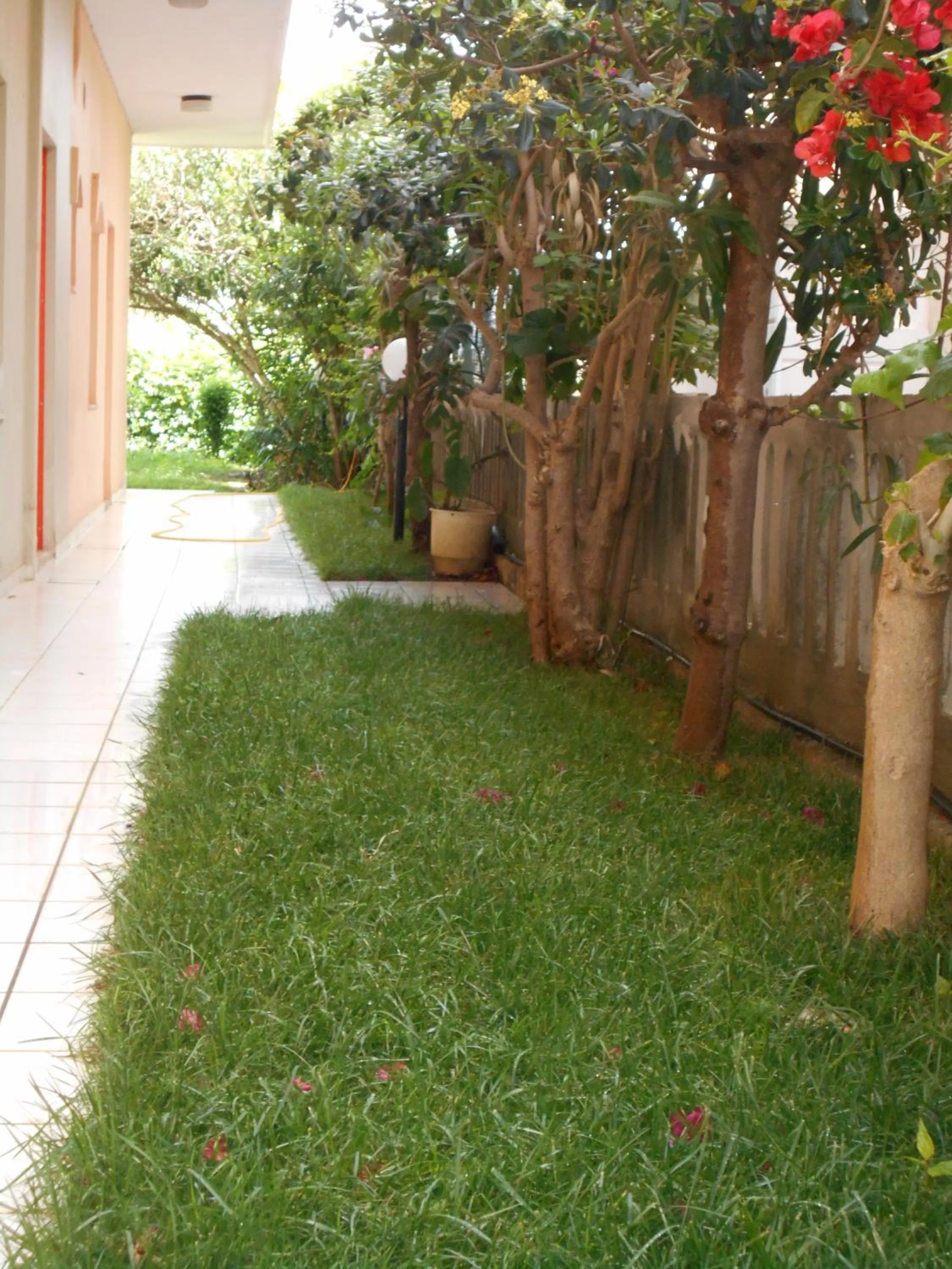 Garden in Ilona Apartments Chania