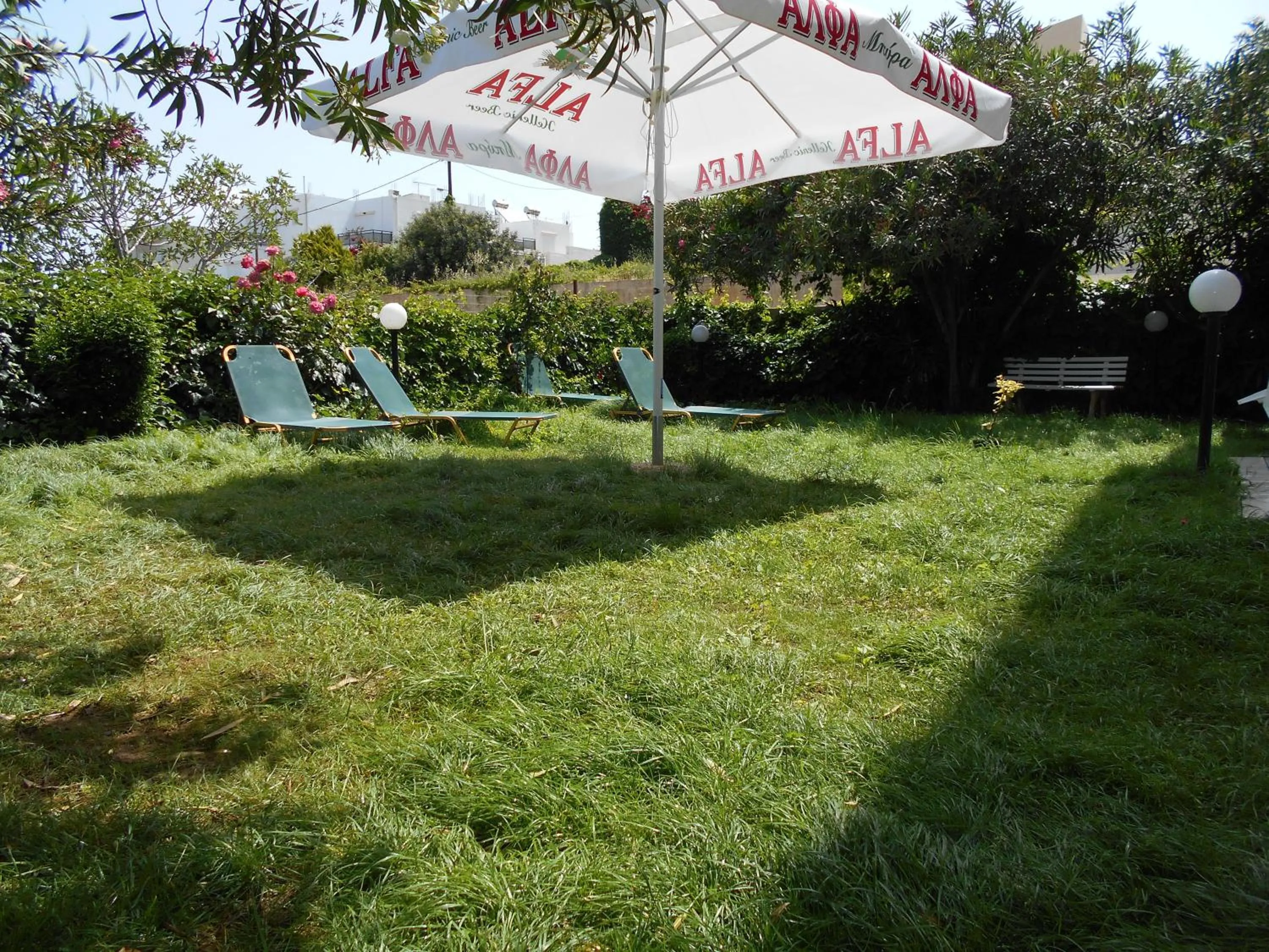 Garden in Ilona Apartments Chania