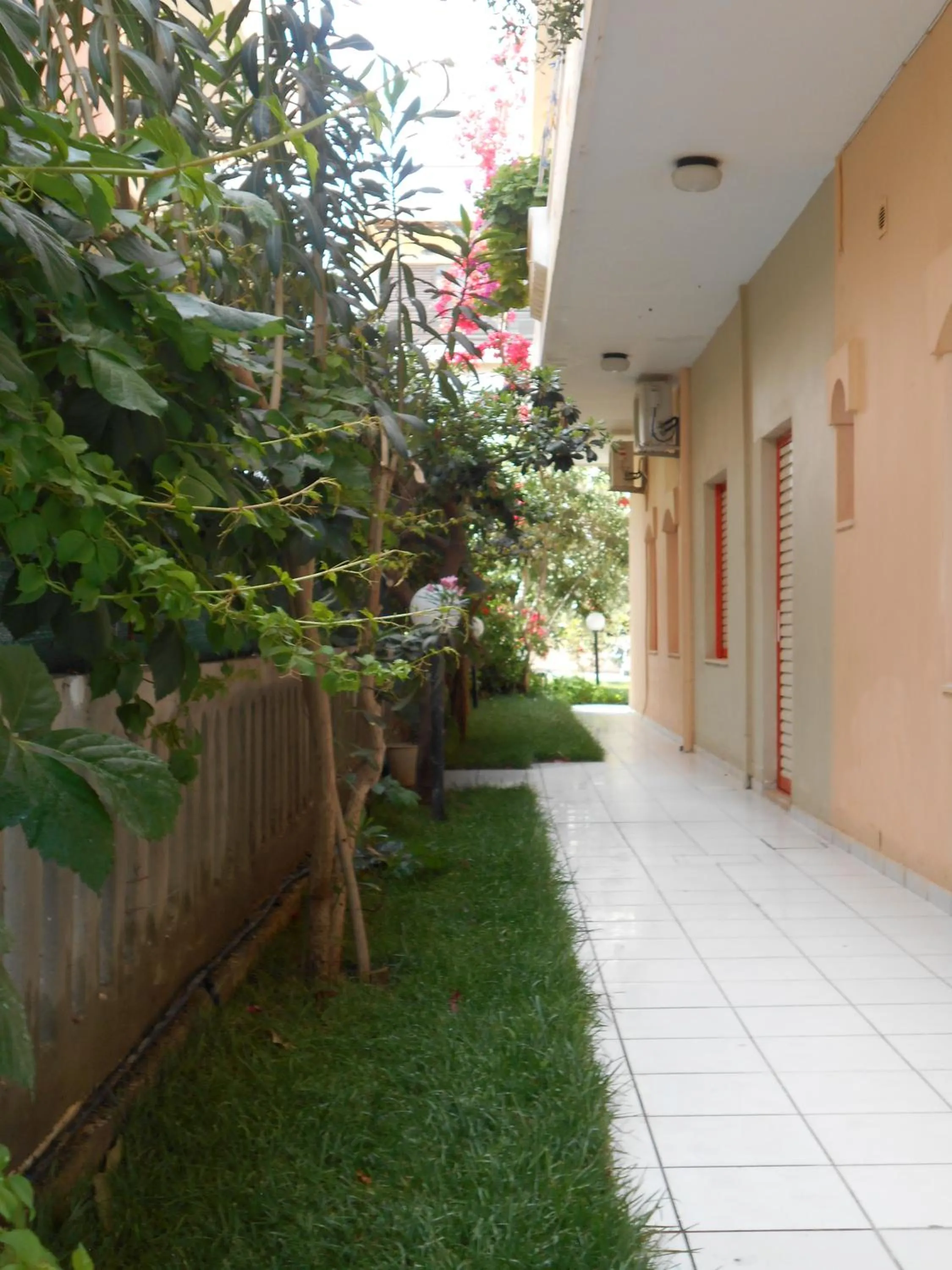 Garden in Ilona Apartments Chania