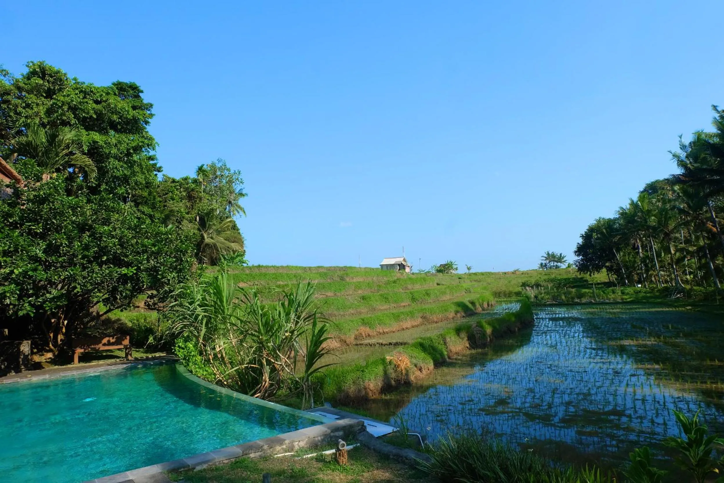 Nearby landmark in Puri Taman Sari Resort