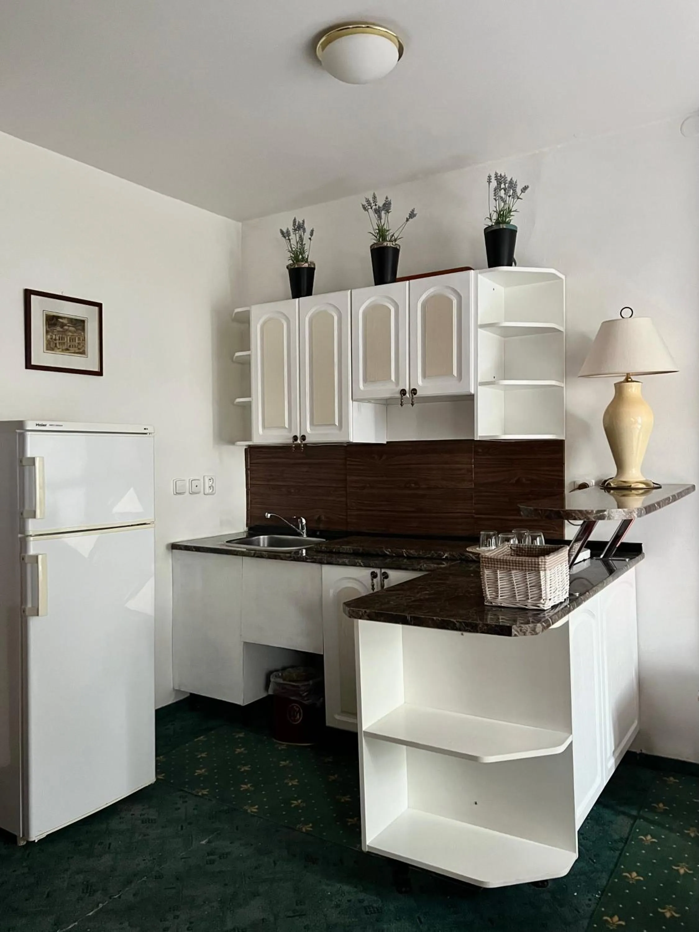 Kitchen or kitchenette in Hotel GEO
