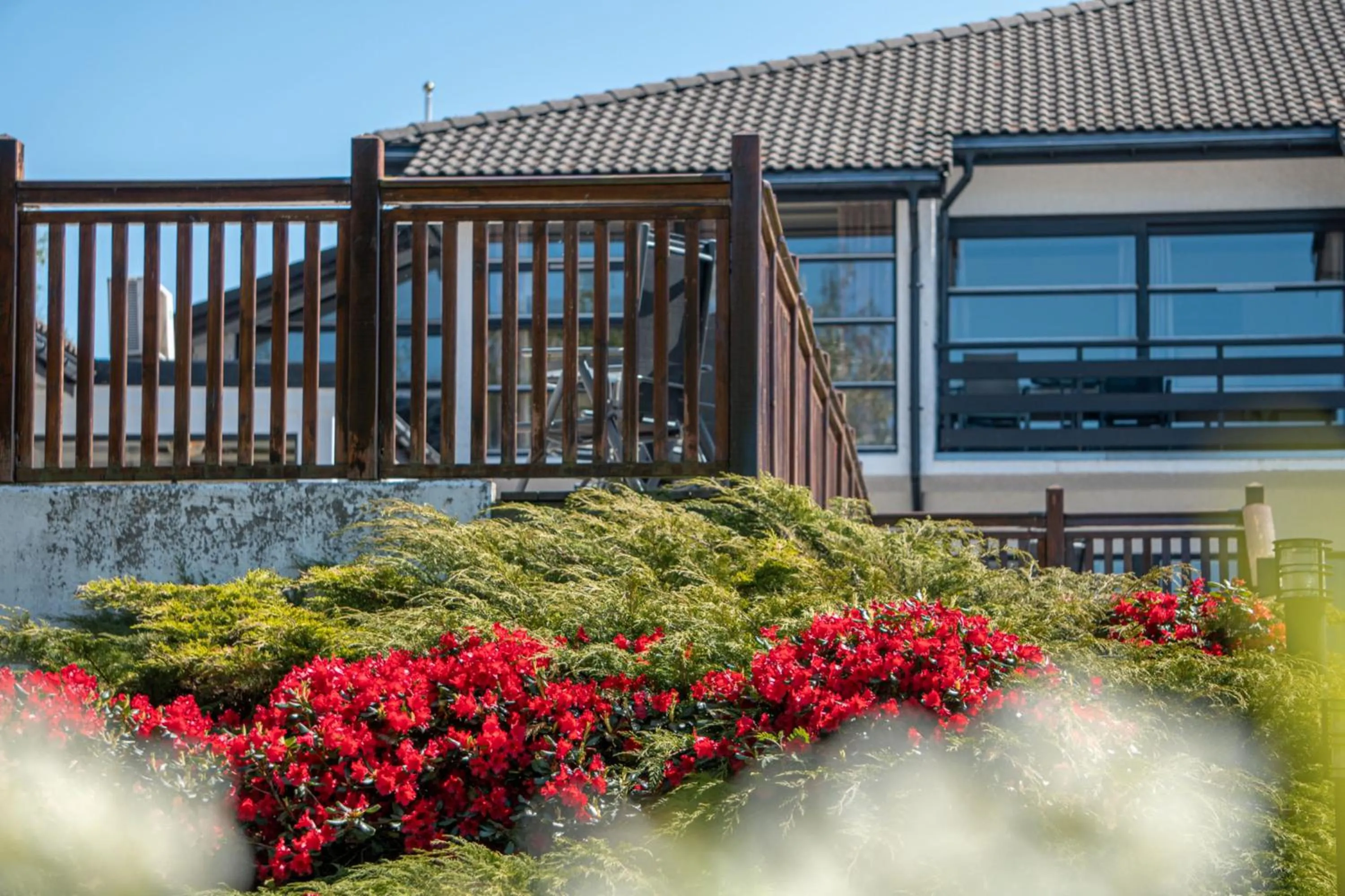Garden in Fitjar Fjordhotell