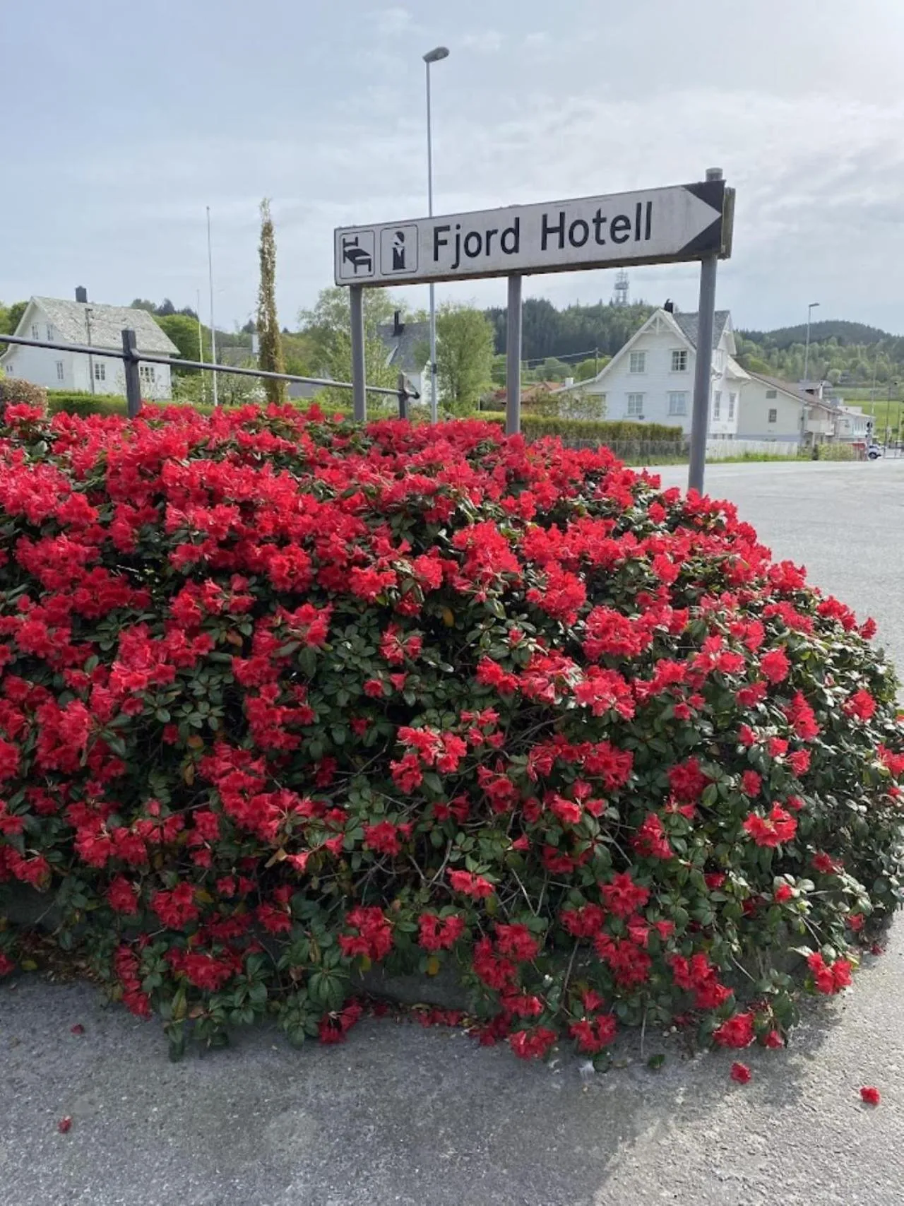 Off site in Fitjar Fjordhotell