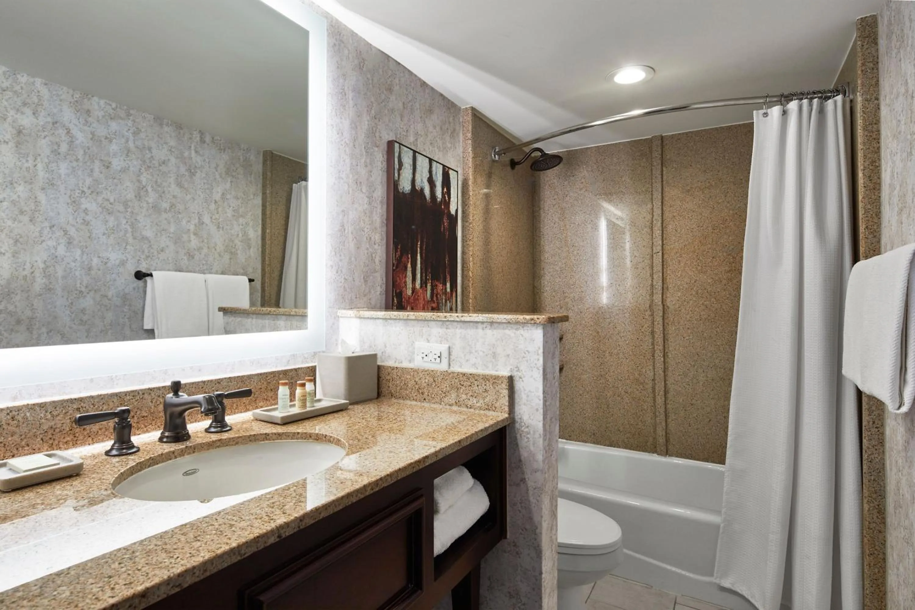 Bathroom in Renaissance Mobile Riverview Plaza Hotel