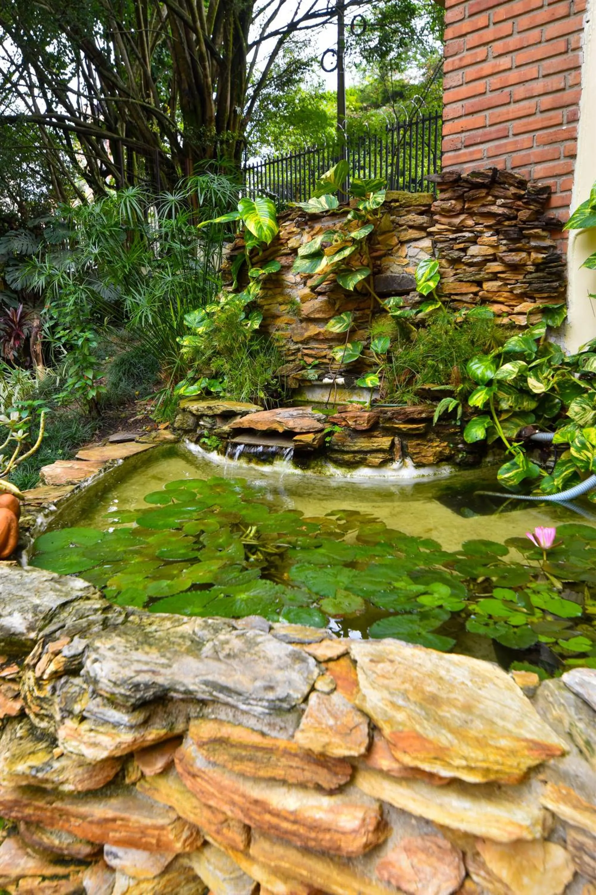 Spring in La Campana Hotel Boutique