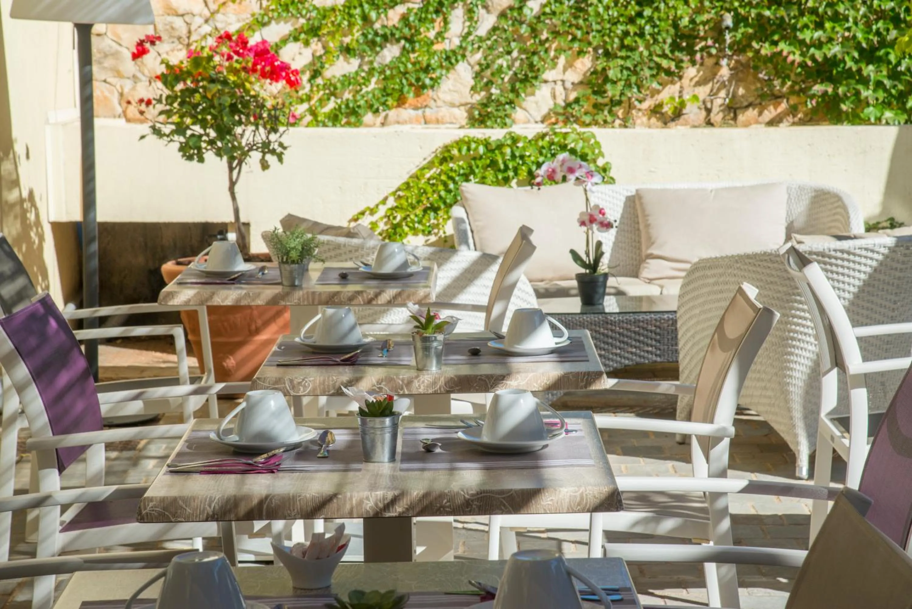 Patio in La Bastide de l'Oliveraie