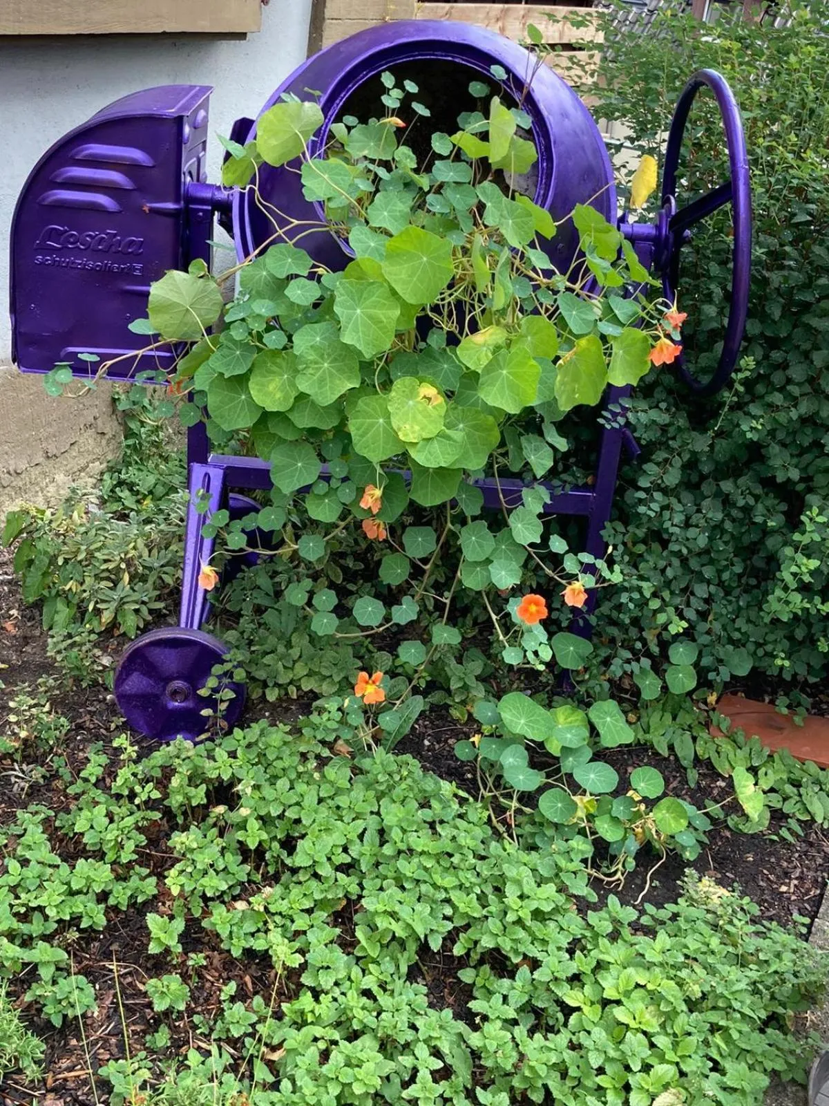 Balcony/Terrace in Hotel Kronprinz