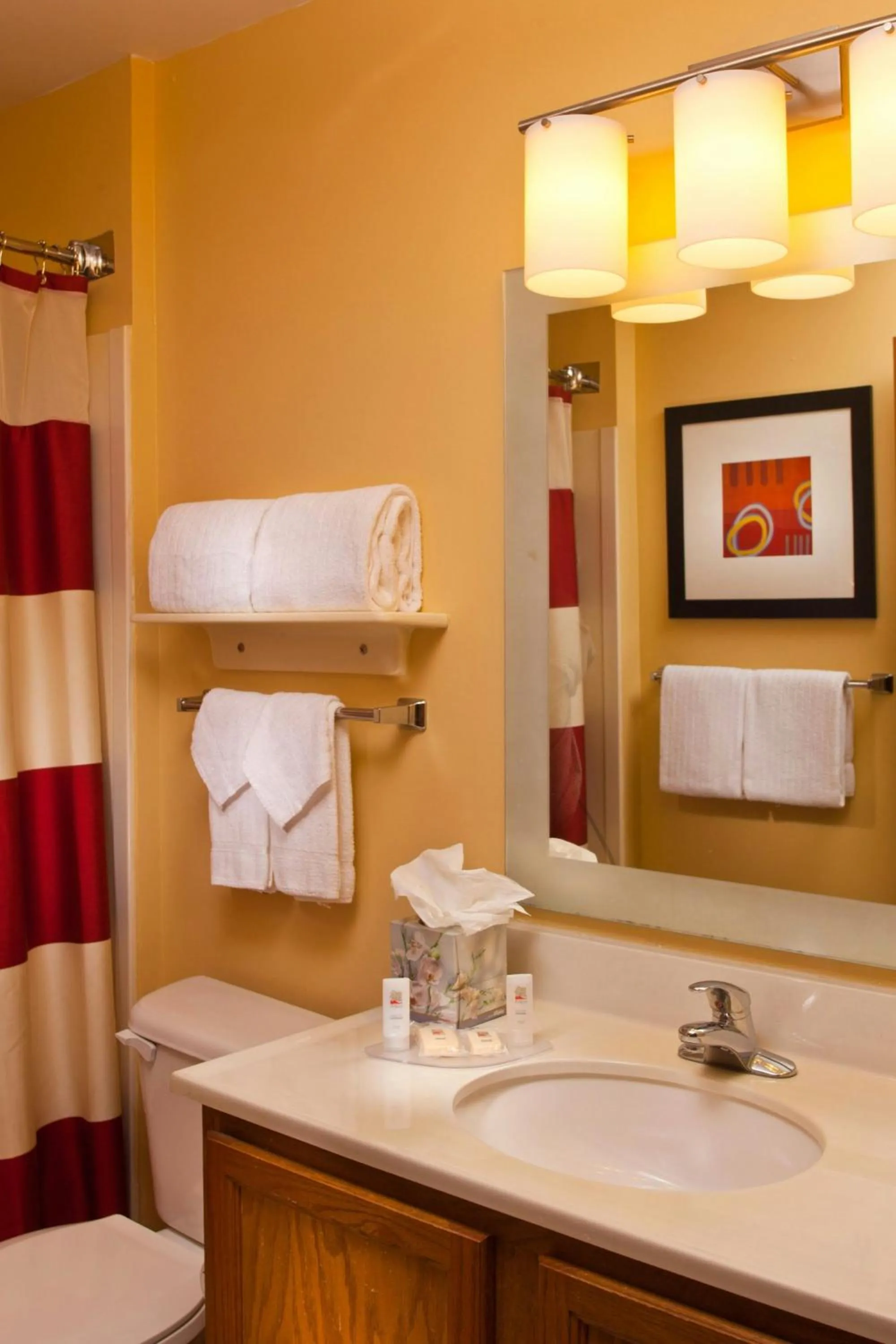 Bathroom in TownePlace Suites New Orleans Metairie