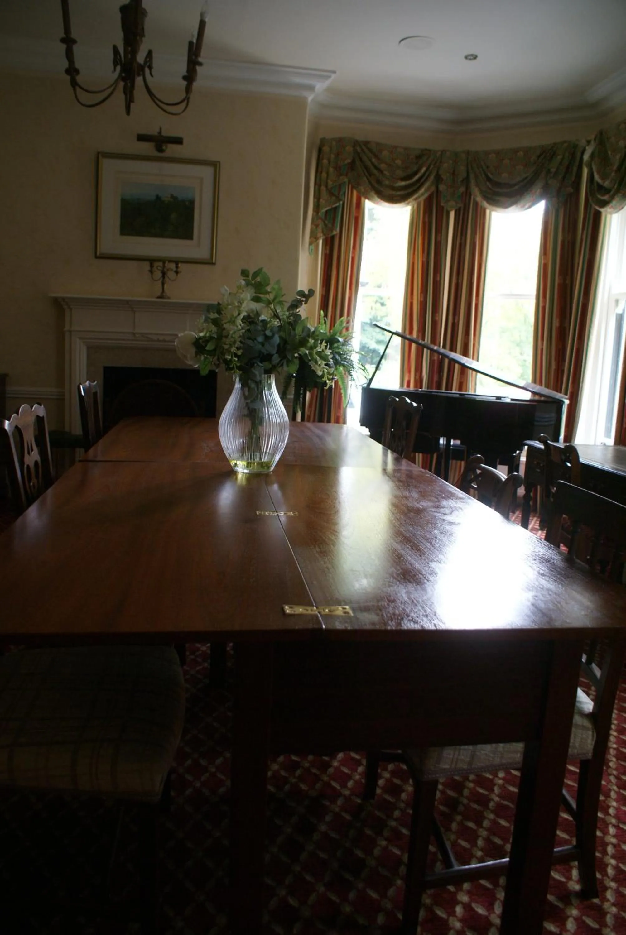 Library in Haley's Hotel