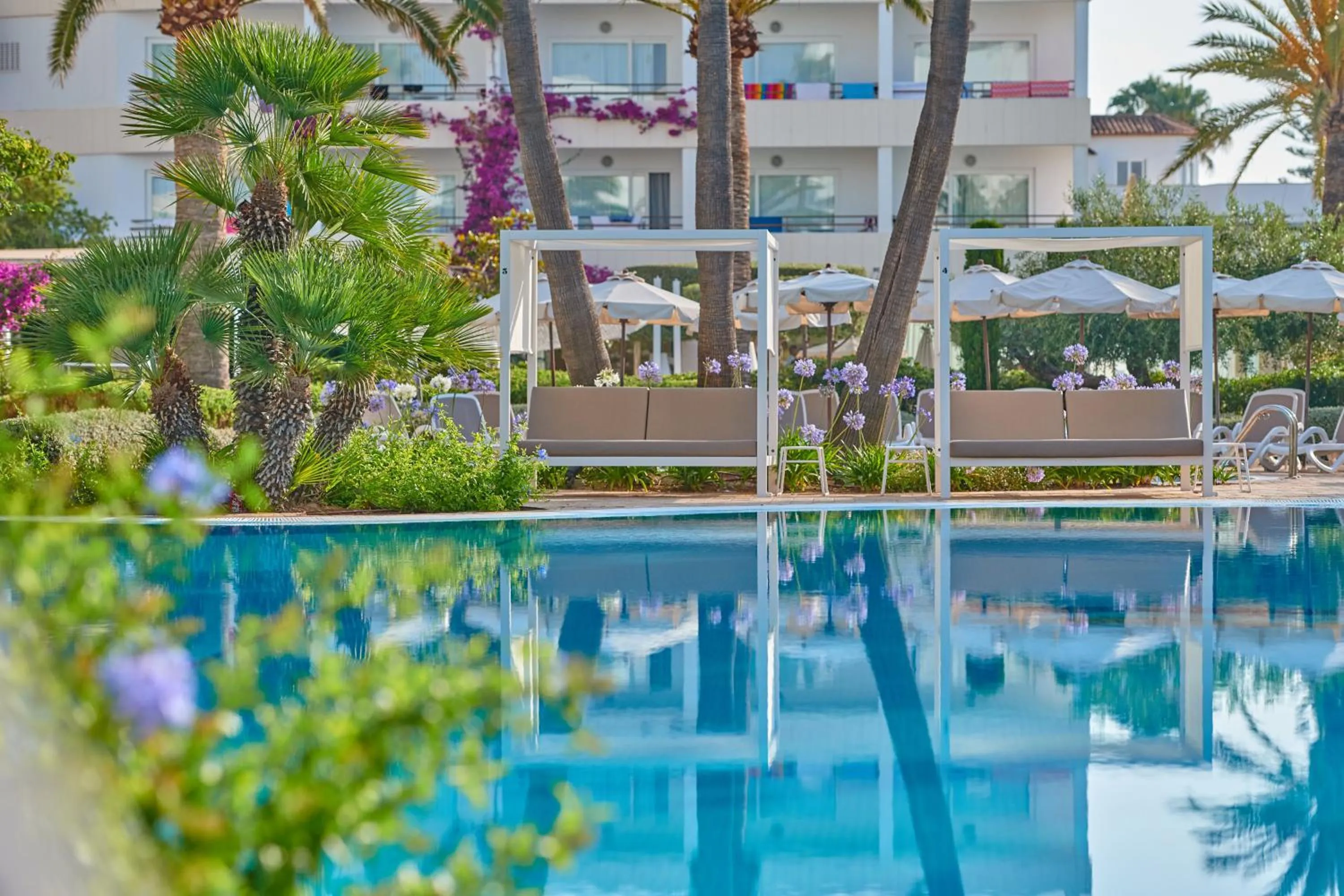 Garden in Hipotels Said