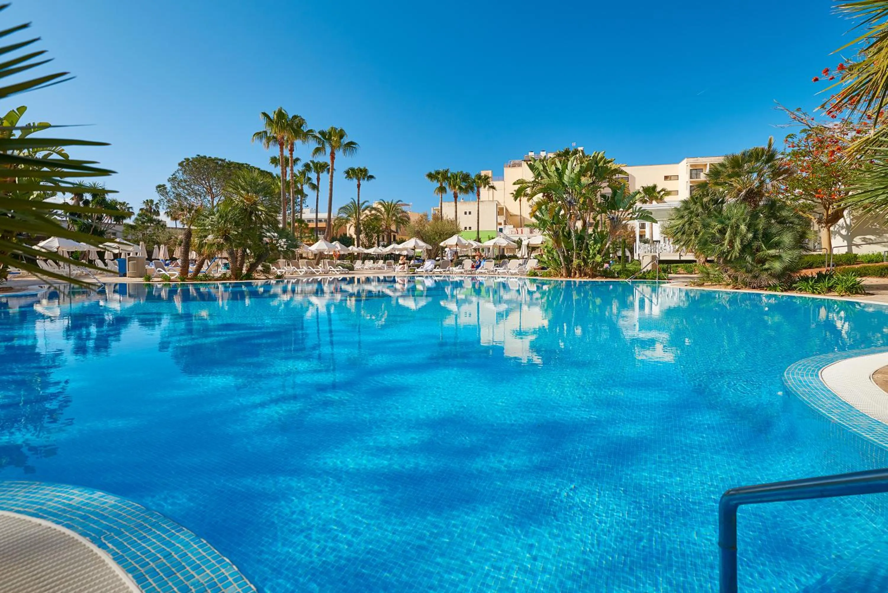 Garden in Hipotels Said