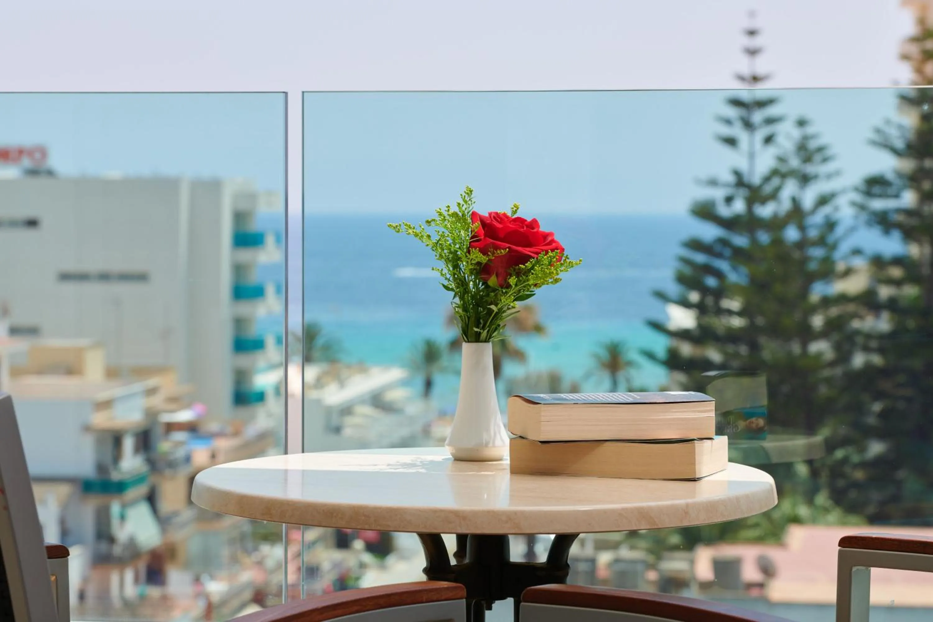 Balcony/Terrace in Hipotels Said