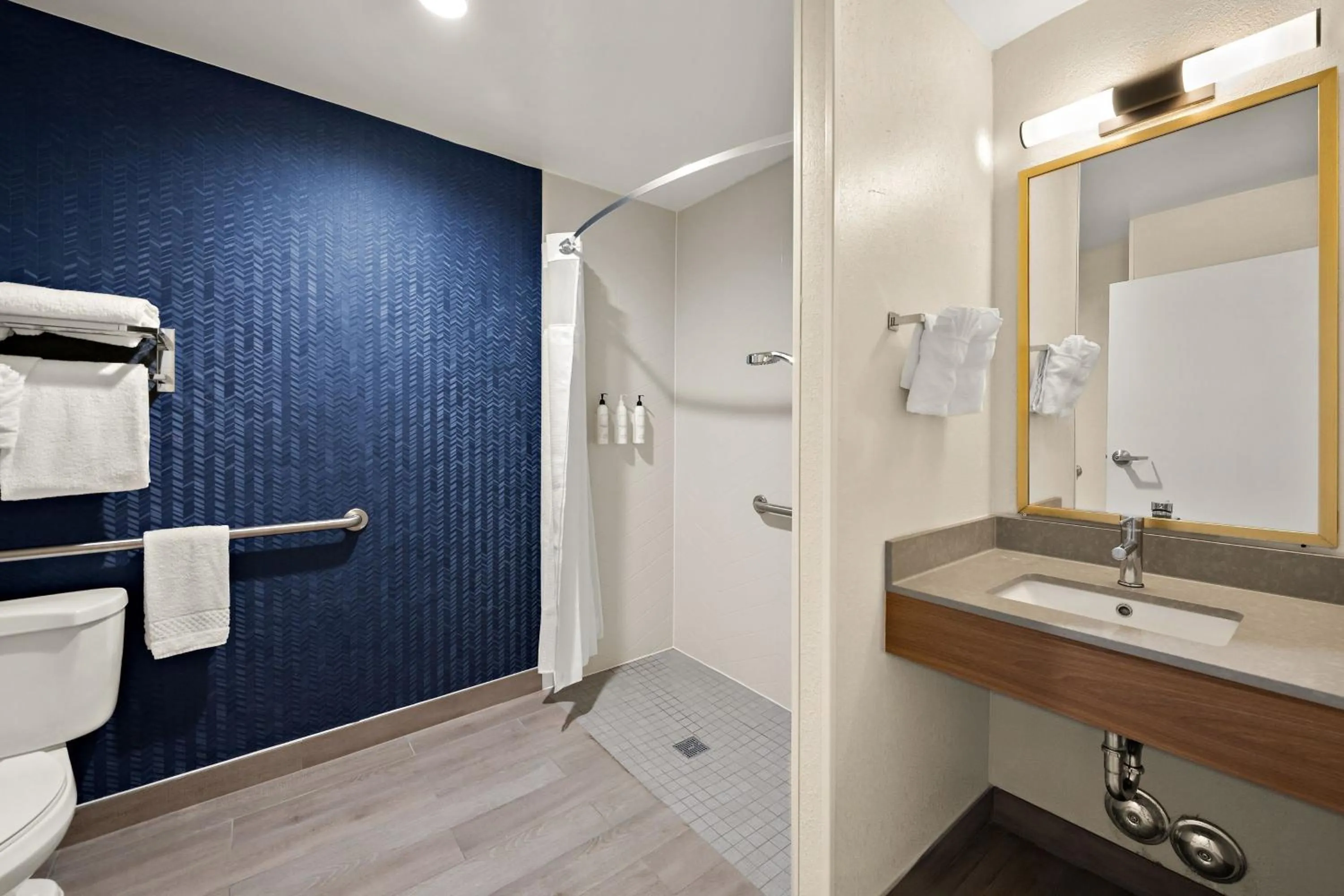 Bathroom in Fairfield by Marriott Inn & Suites Chesapeake