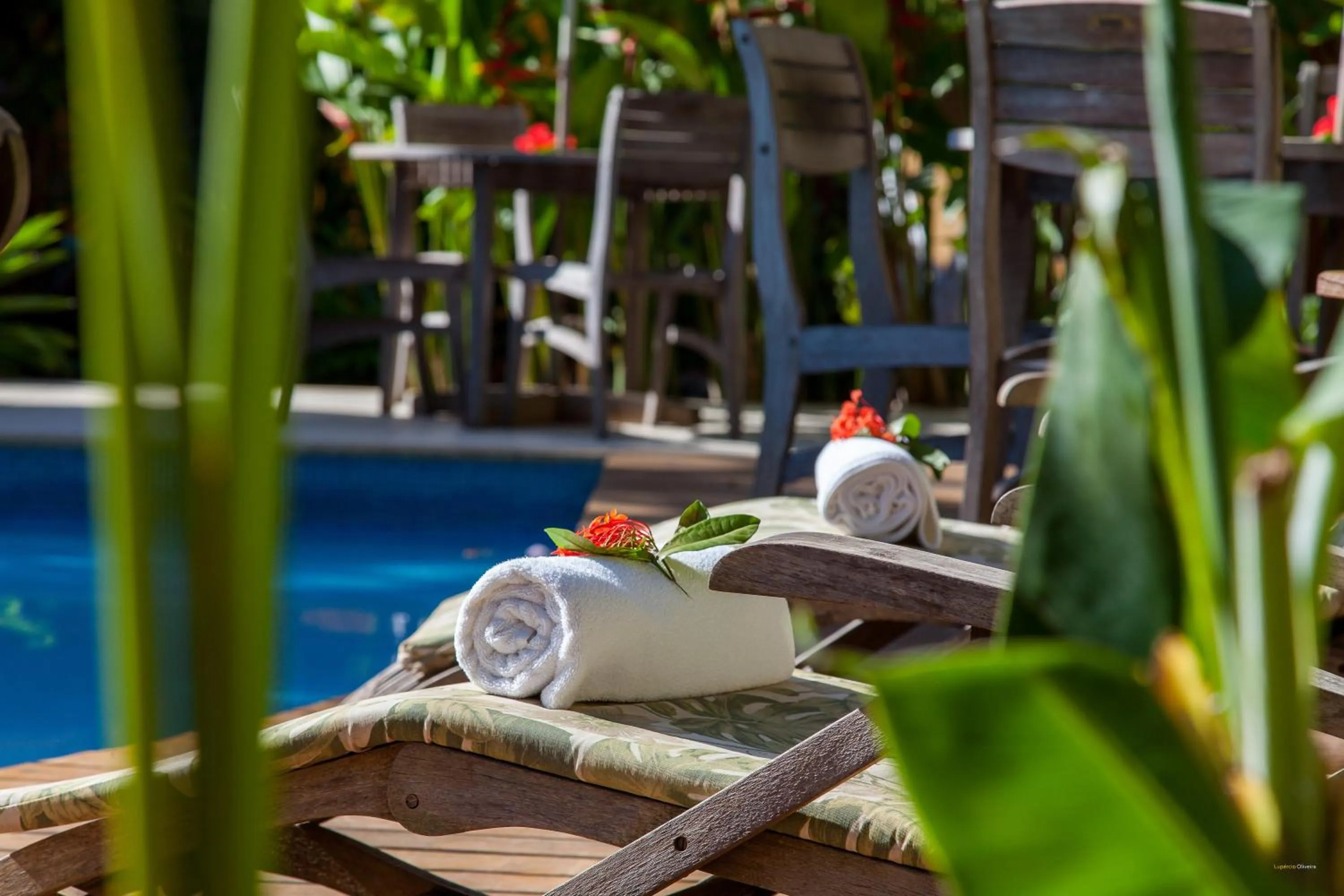 Day in Pousada Pedra Torta