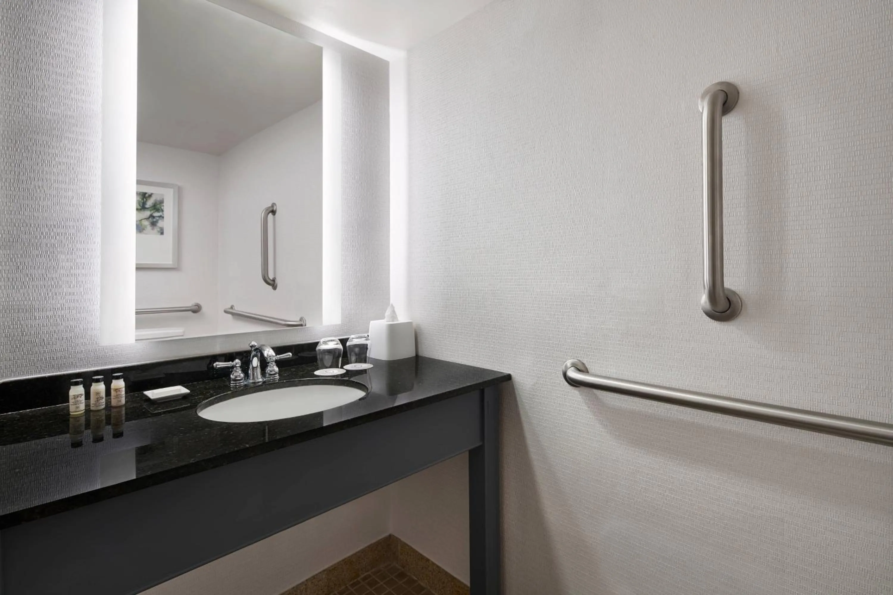 Bathroom in Delta Hotels by Marriott Chesapeake Norfolk