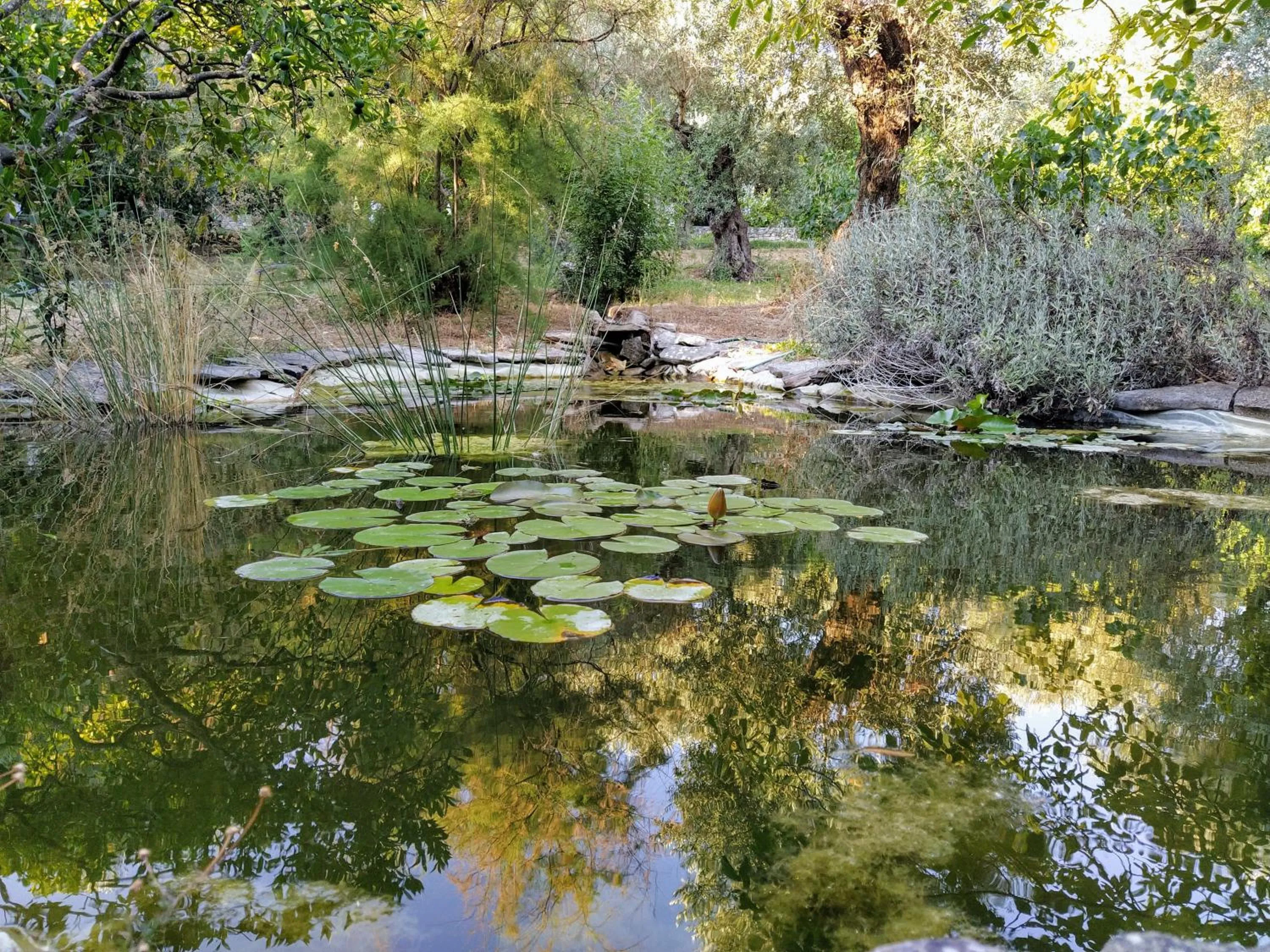Garden in Casa Dos Arrabidos