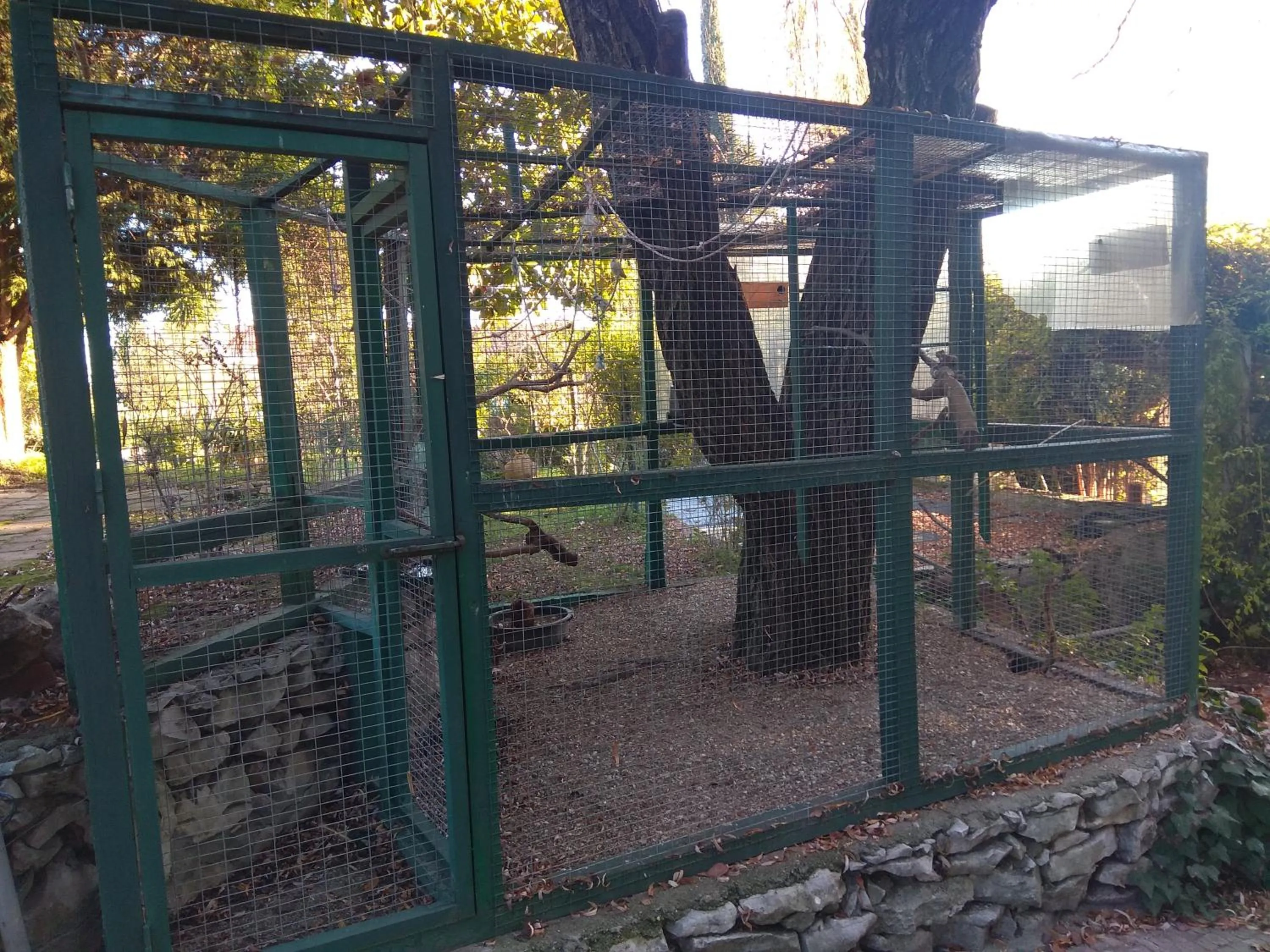 Garden in Casa Dos Arrabidos