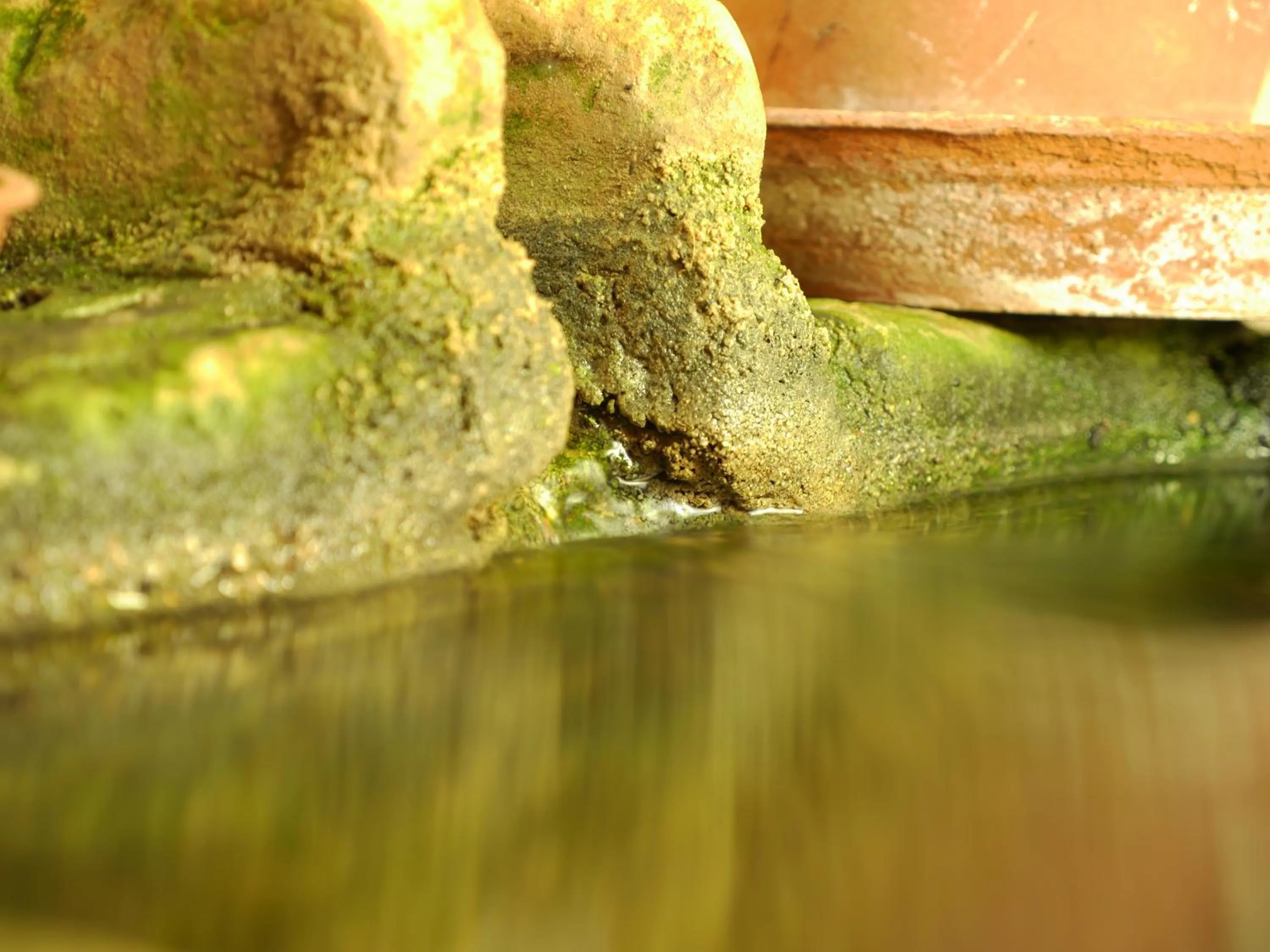 Place of worship in Casa Dos Arrabidos