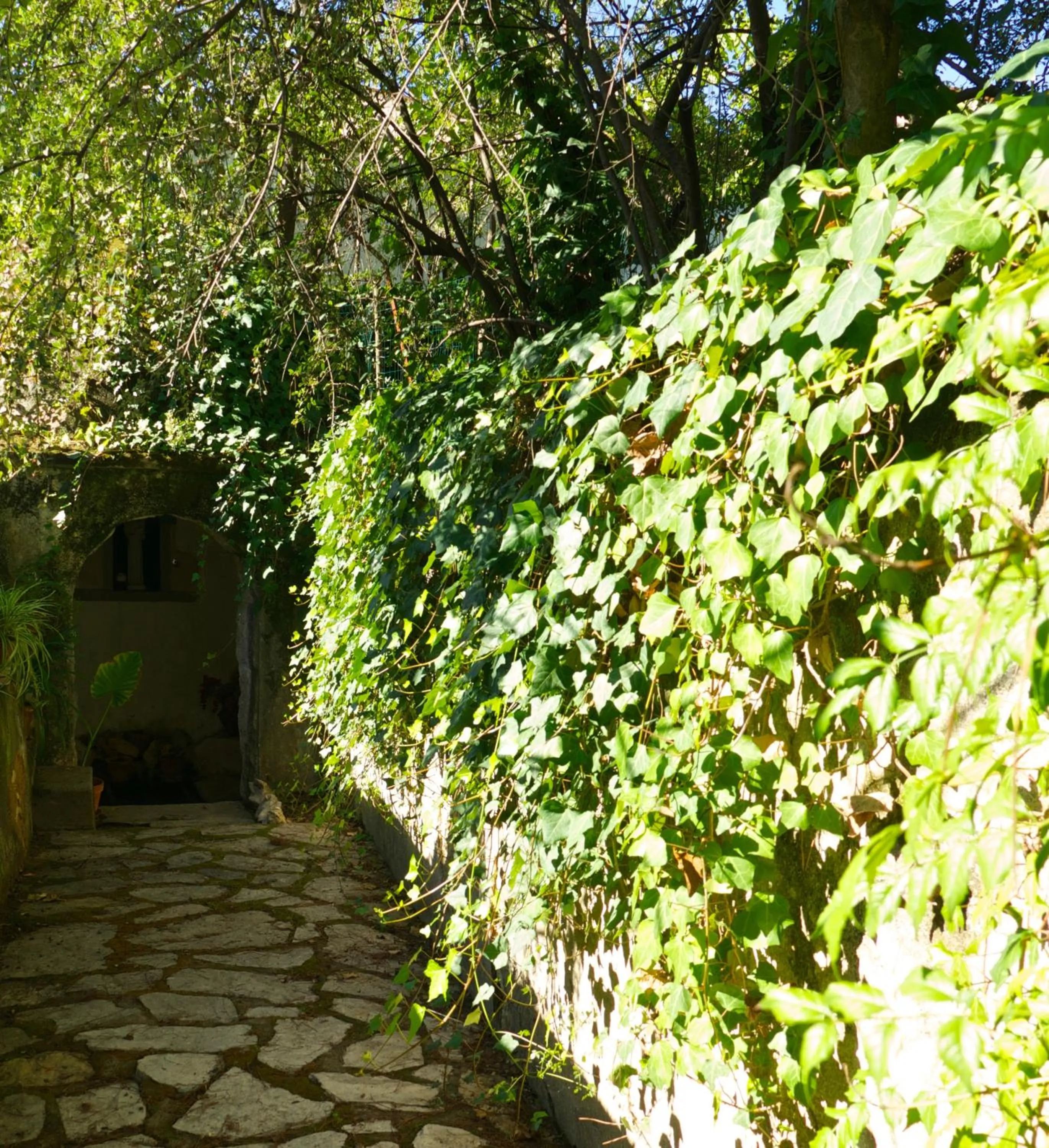 Garden in Casa Dos Arrabidos