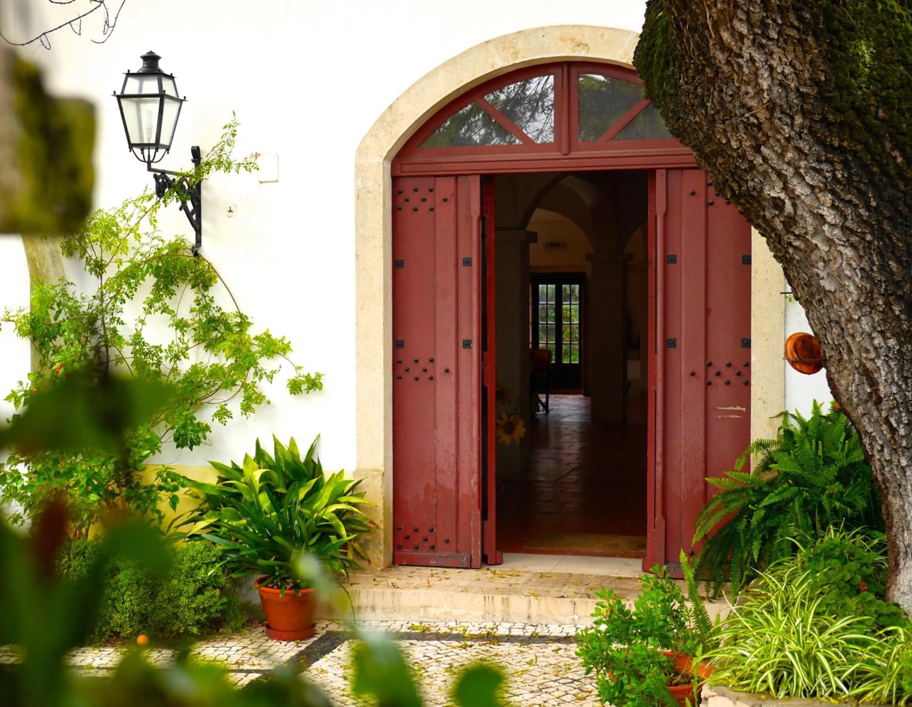 Facade/entrance in Casa Dos Arrabidos