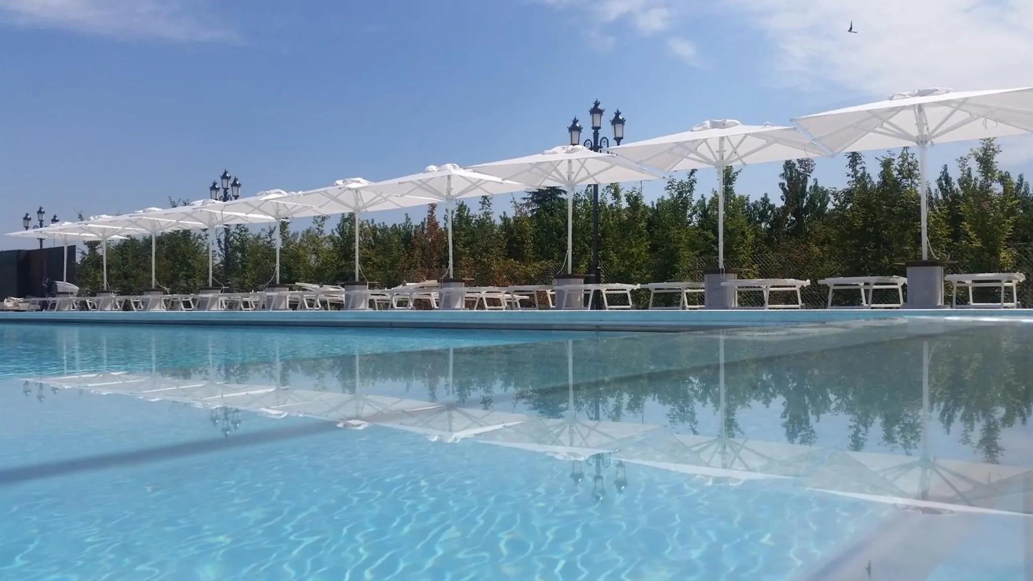 Swimming pool in Locanda di Casa Spadoni