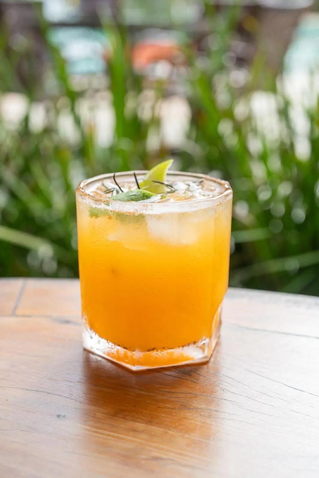 Restaurant/places to eat in Terra Boa Hotel Boutique