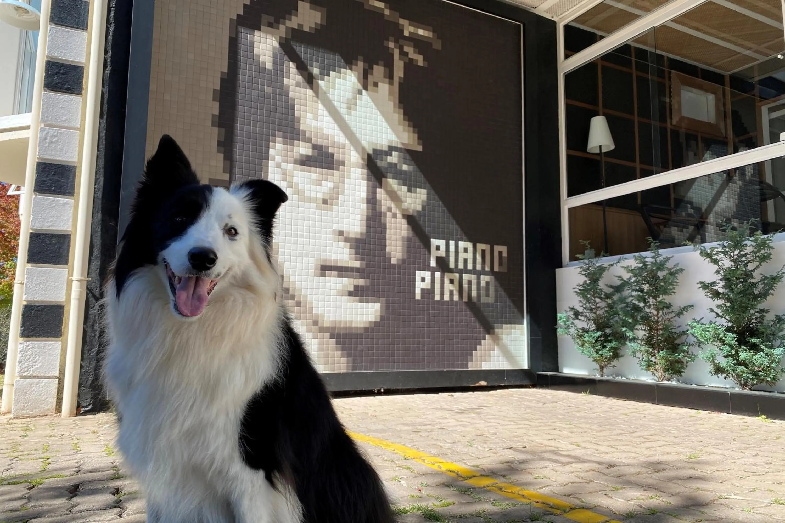 Facade/entrance in Pousada Piano Piano