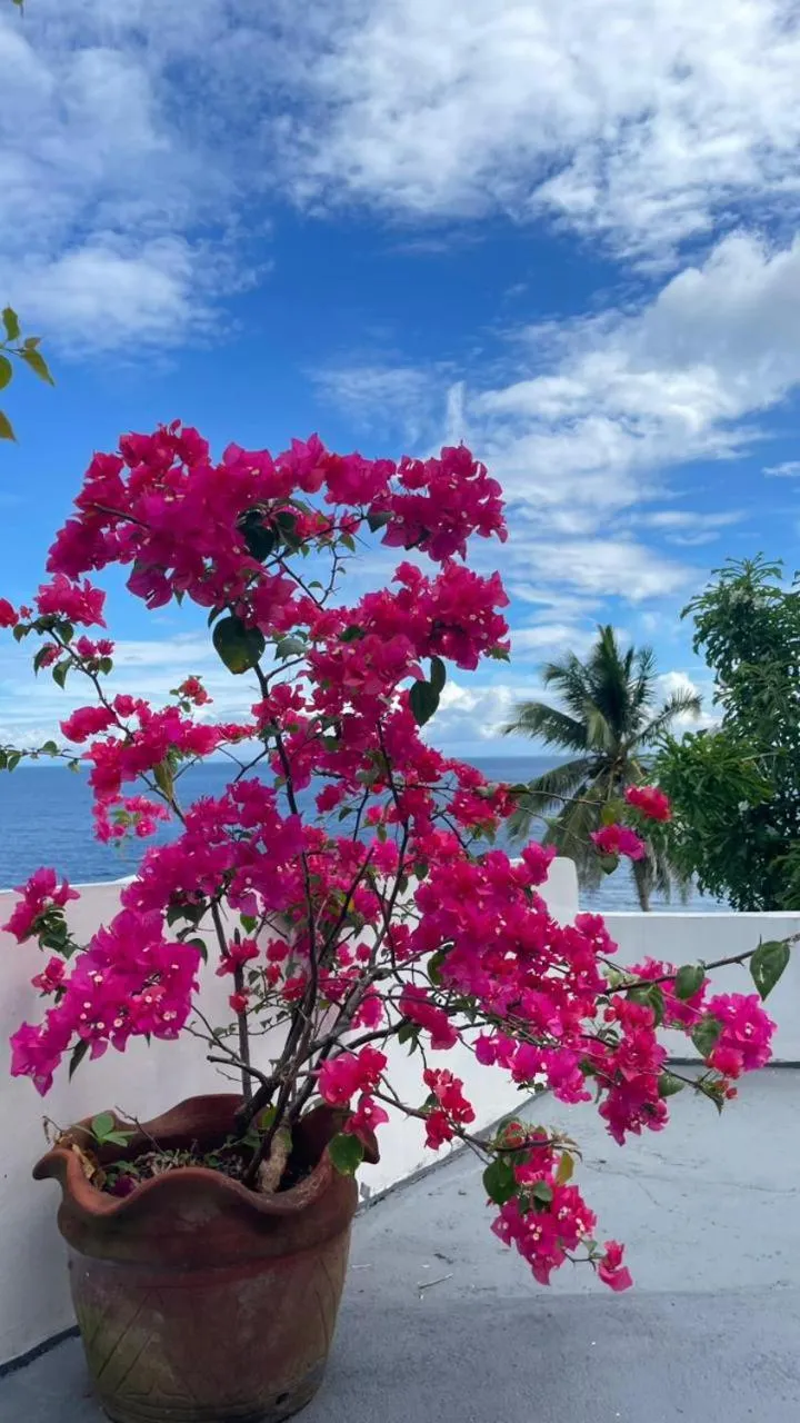 Natural landscape in Bintana Sa Paraiso