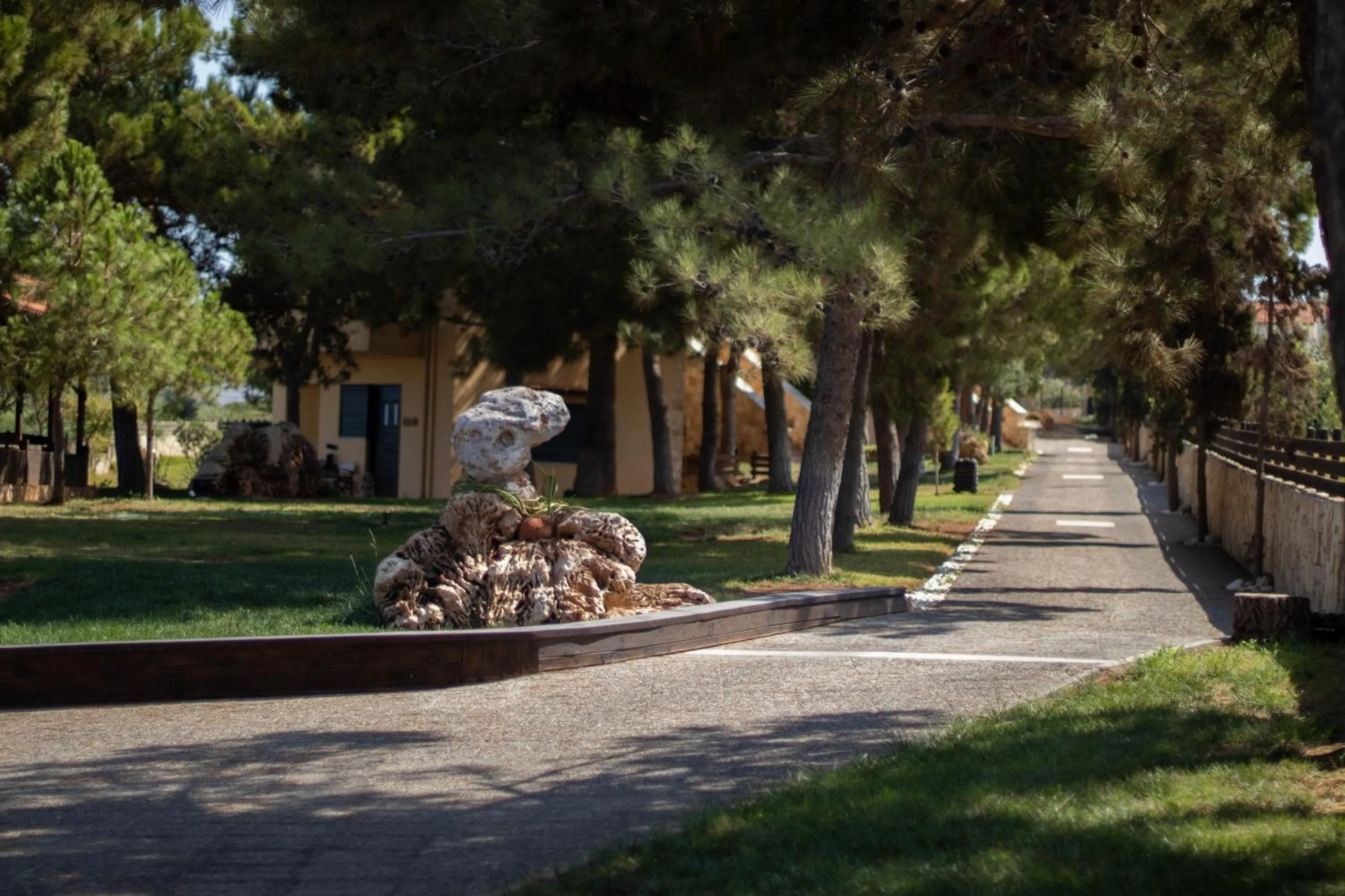 Garden in Kreta Natur