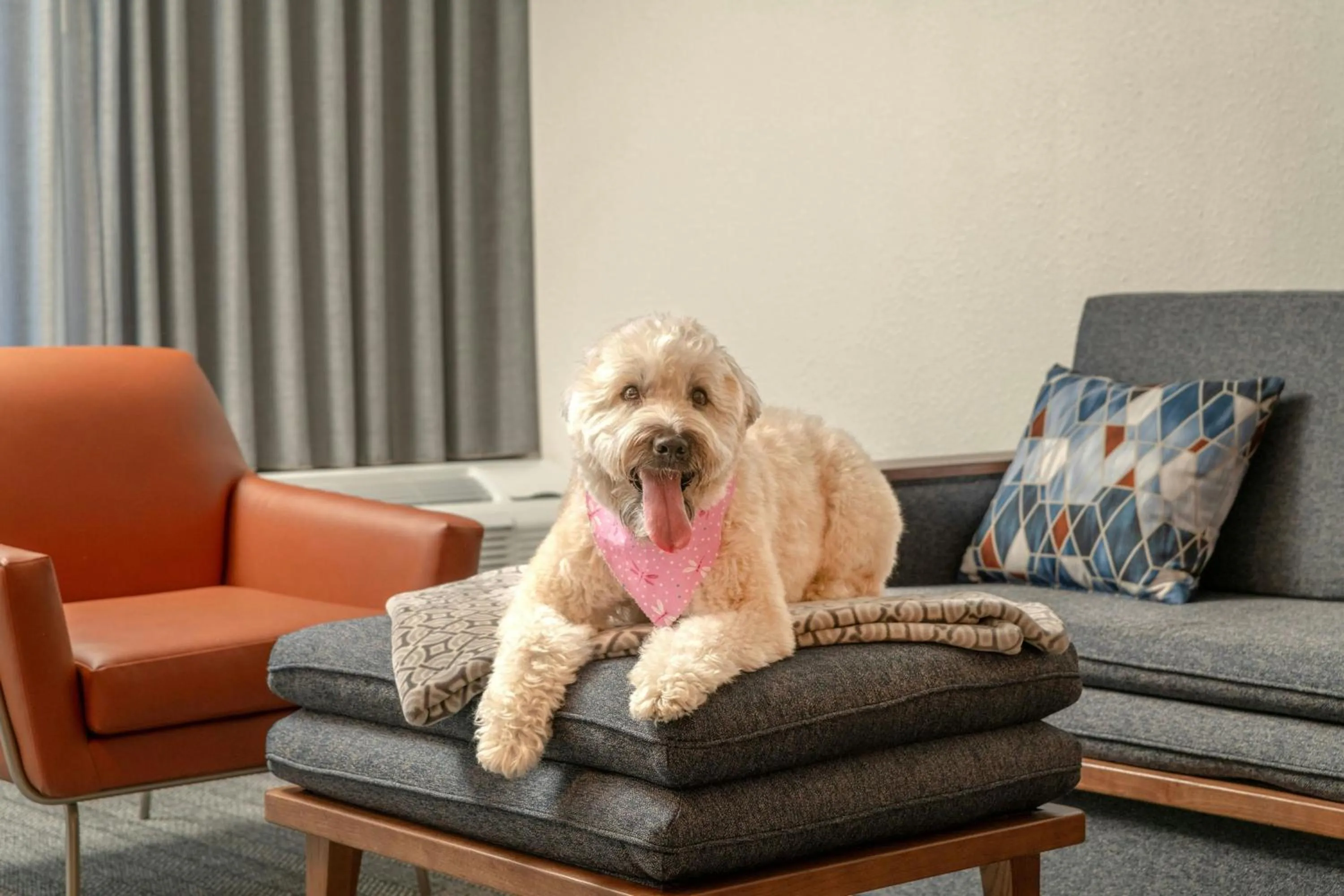 Other in Courtyard by Marriott Providence Lincoln