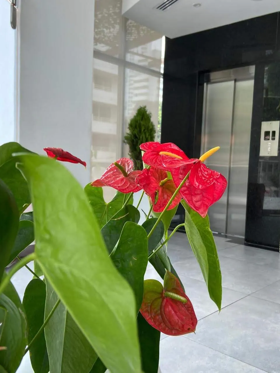 elevator in Hotel Zi One Luxury