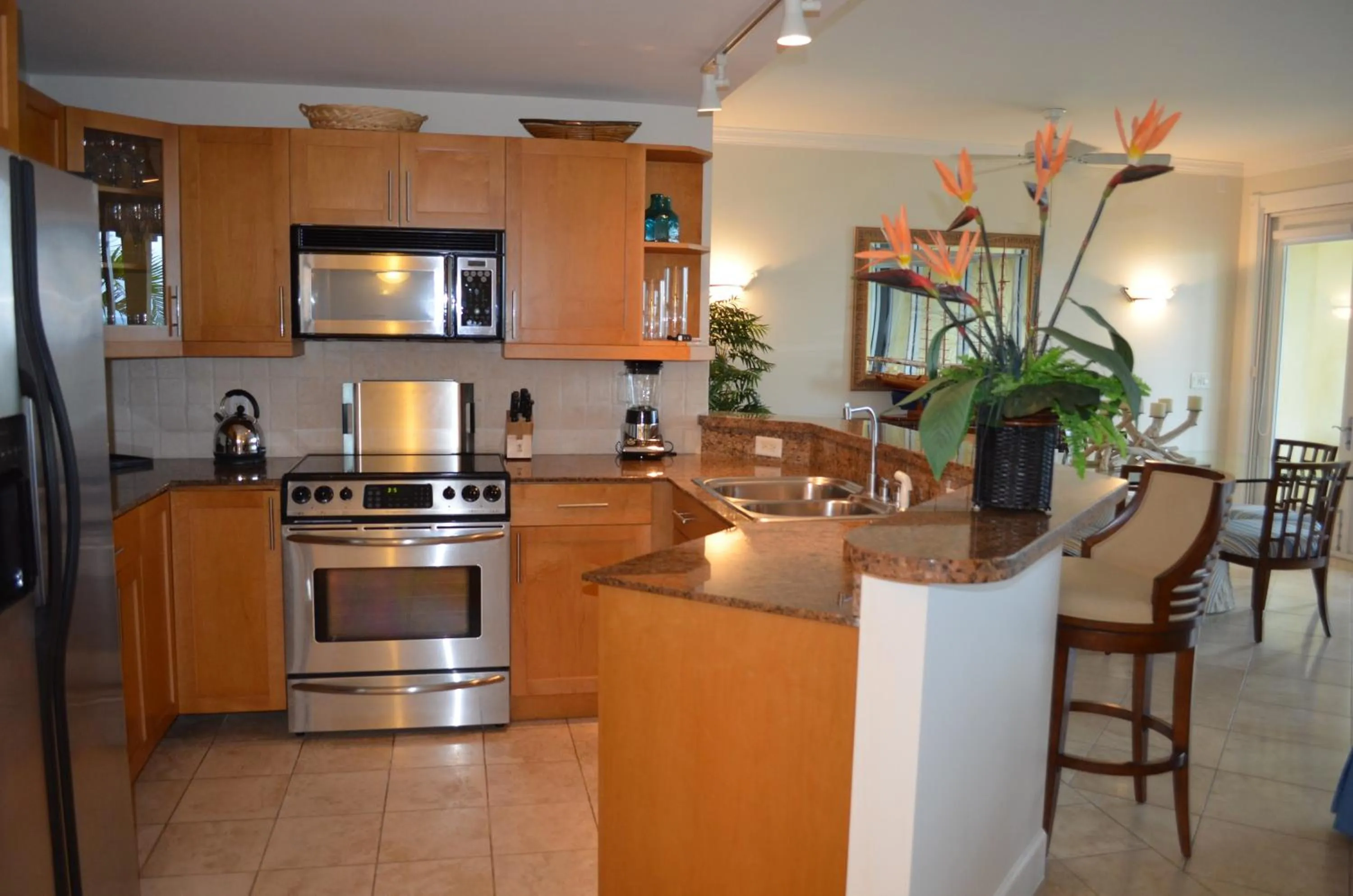 Kitchen or kitchenette in Villa Renaissance