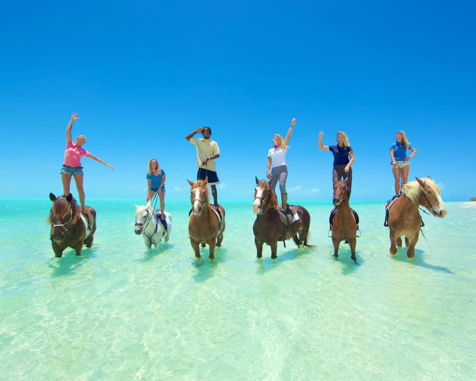 Horse-riding in Villa Renaissance