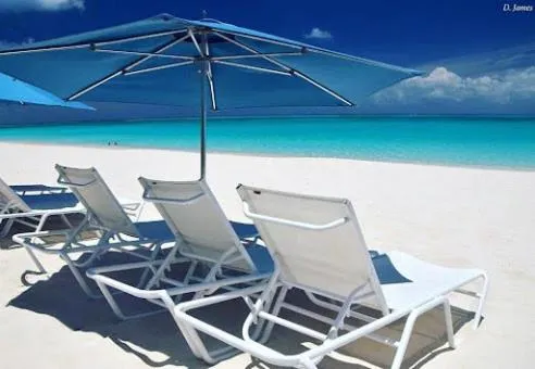 Natural landscape in Villa Renaissance