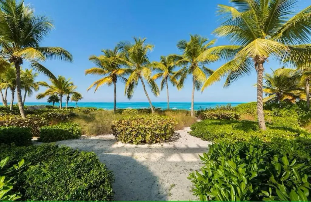 Natural landscape in Villa Renaissance