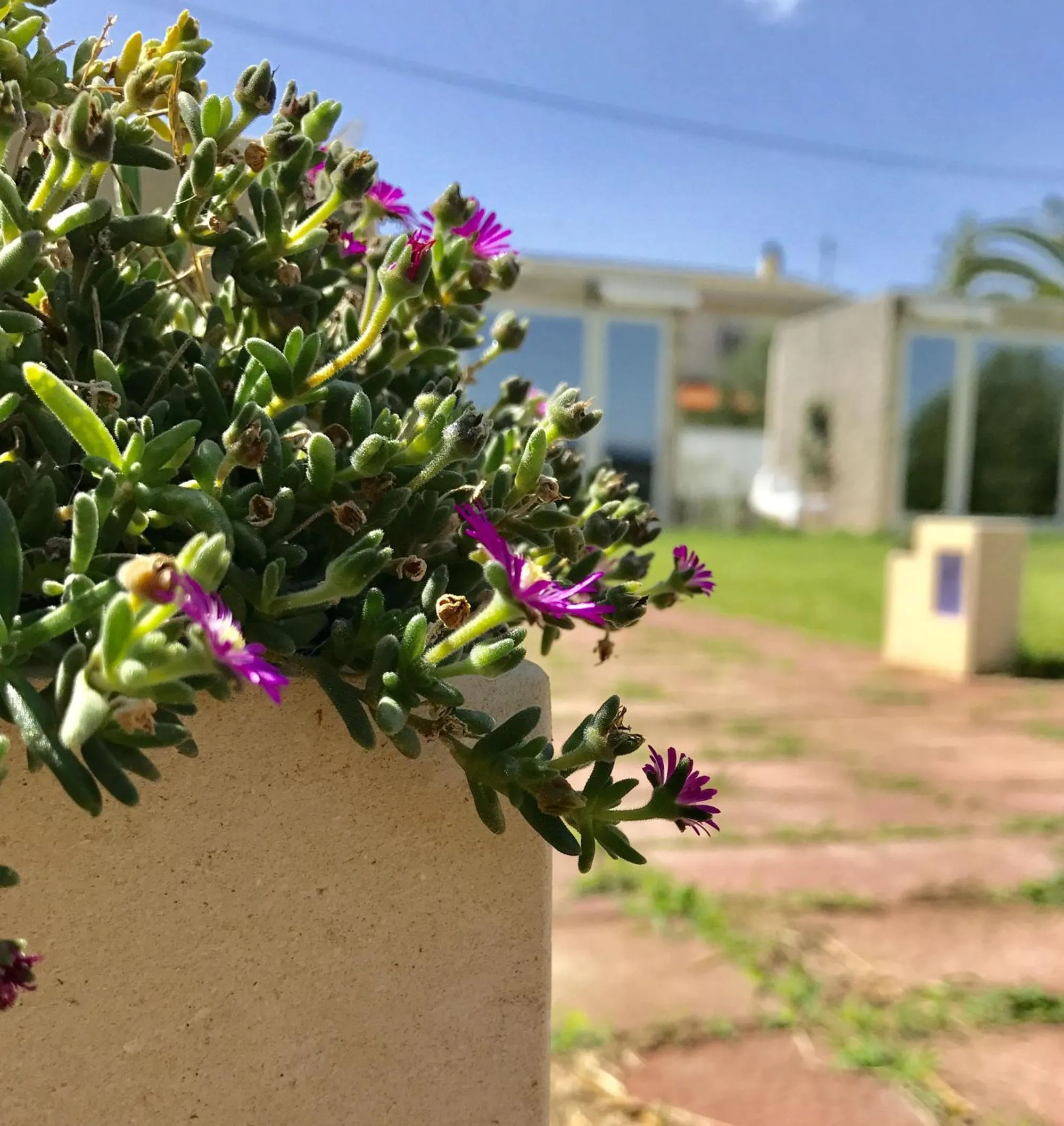 B&B Villa degli Angeli