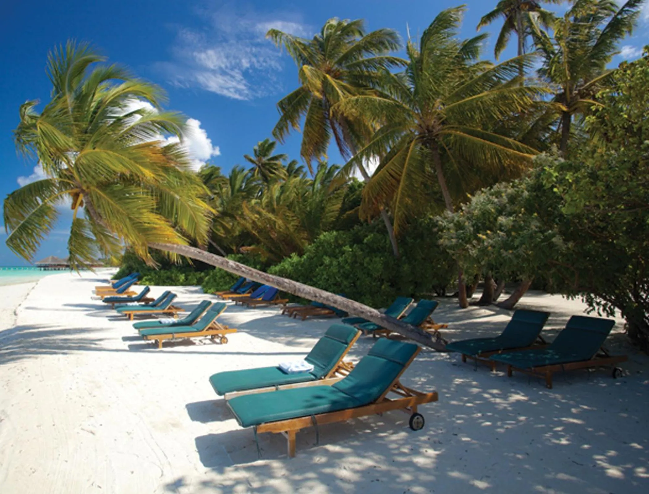 Area and facilities in Medhufushi Island Resort