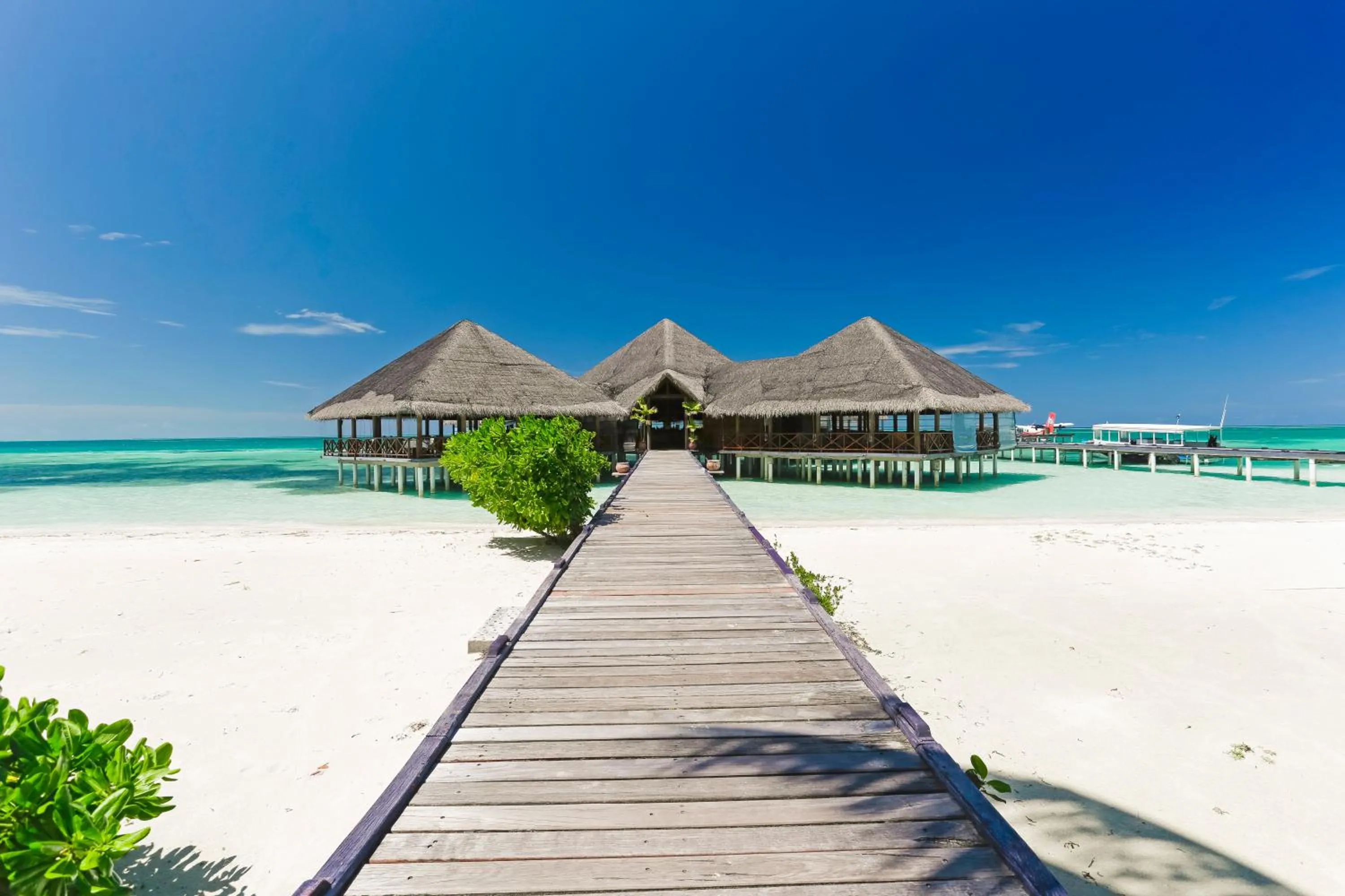 Lounge or bar in Medhufushi Island Resort