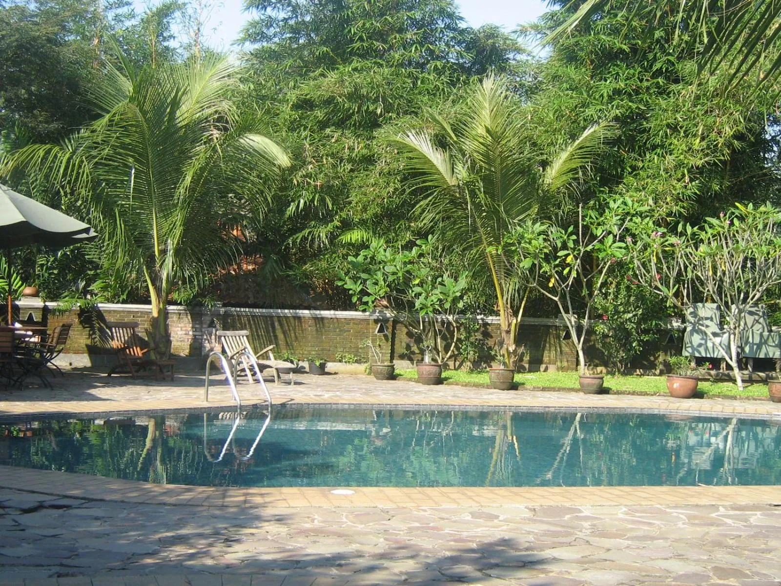 Swimming pool in Hills Joglo Villa