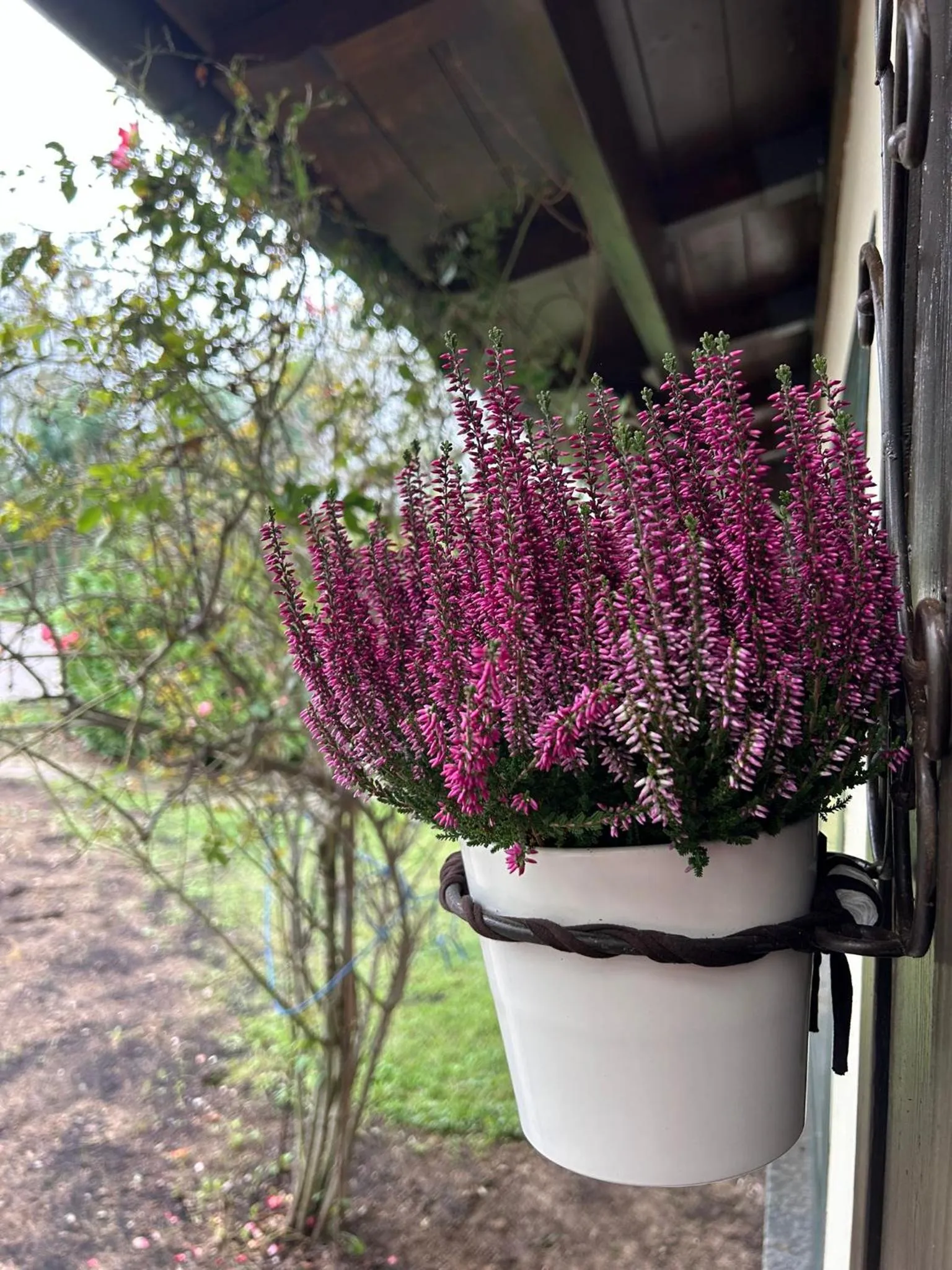 Property building in Cascina Scova Resort