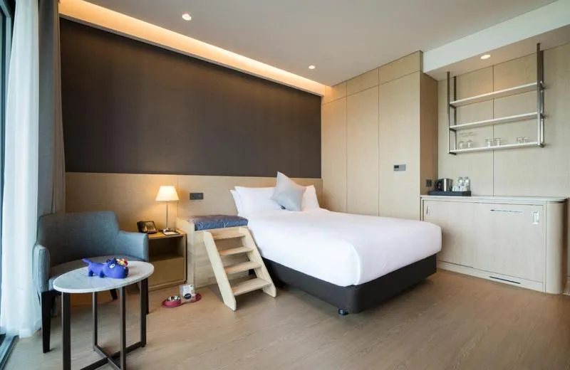 Animals, Bed in St. John's Hotel