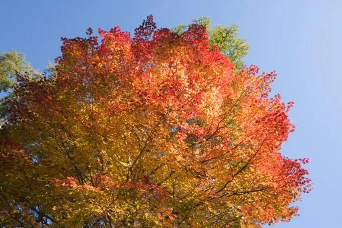 Sundance Resort Tateshina