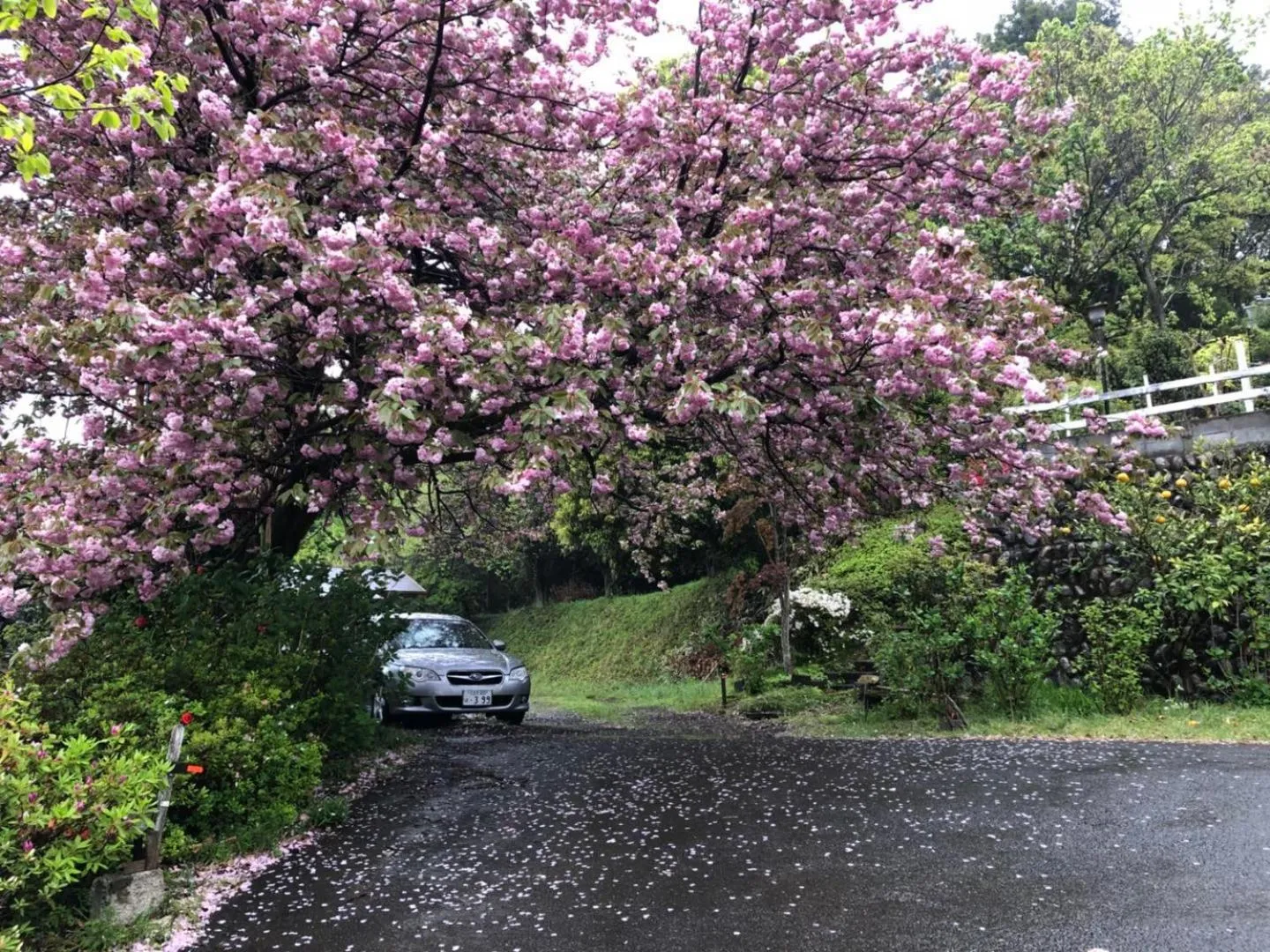 Natural landscape in Kougetsu Sanso -- Moon Villa in Tokyo
