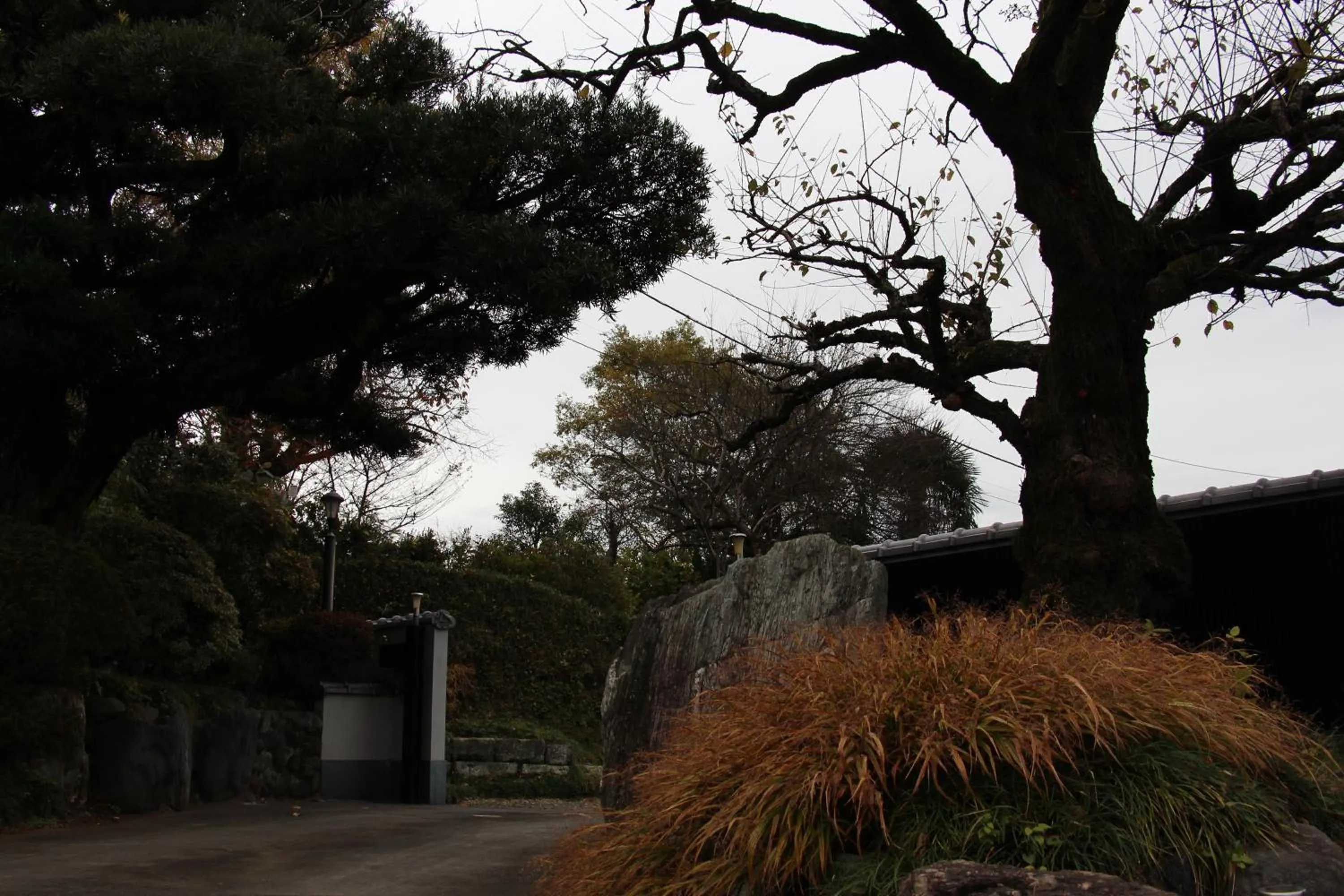 Natural landscape in Kougetsu Sanso -- Moon Villa in Tokyo