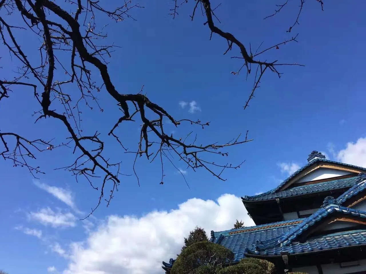 Kougetsu Sanso -- Moon Villa in Tokyo