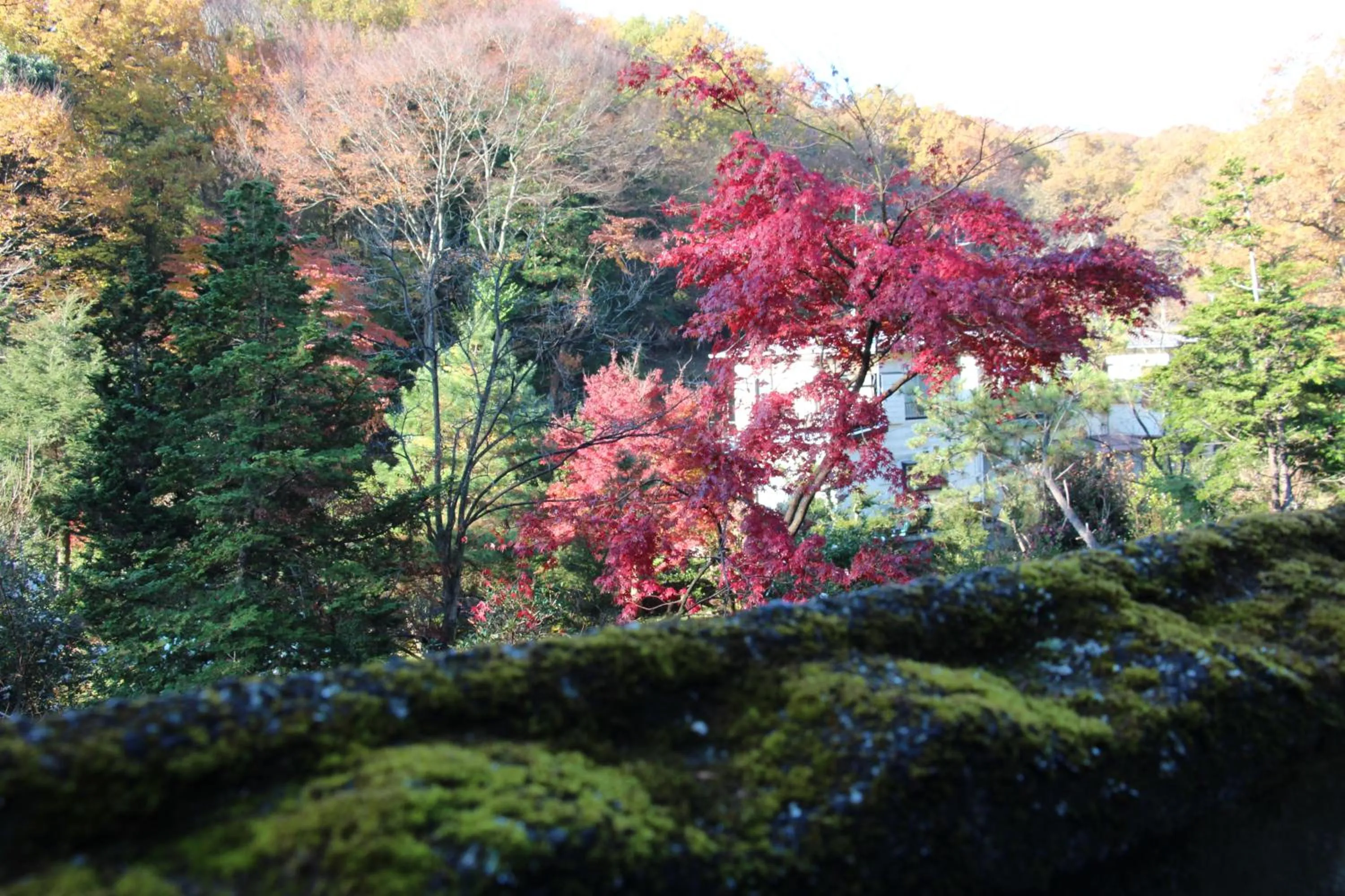 Kougetsu Sanso -- Moon Villa in Tokyo