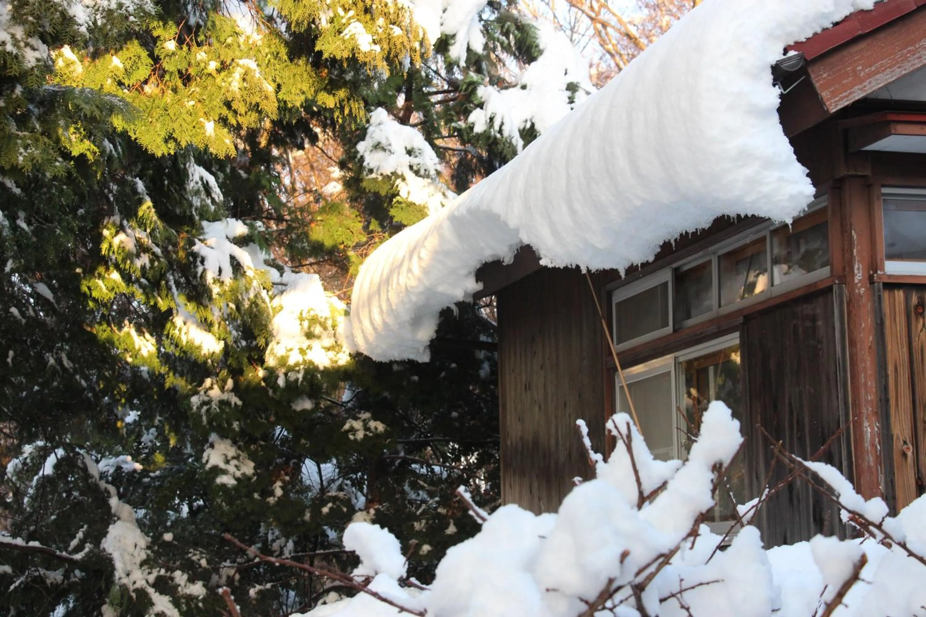 Winter in Kougetsu Sanso -- Moon Villa in Tokyo