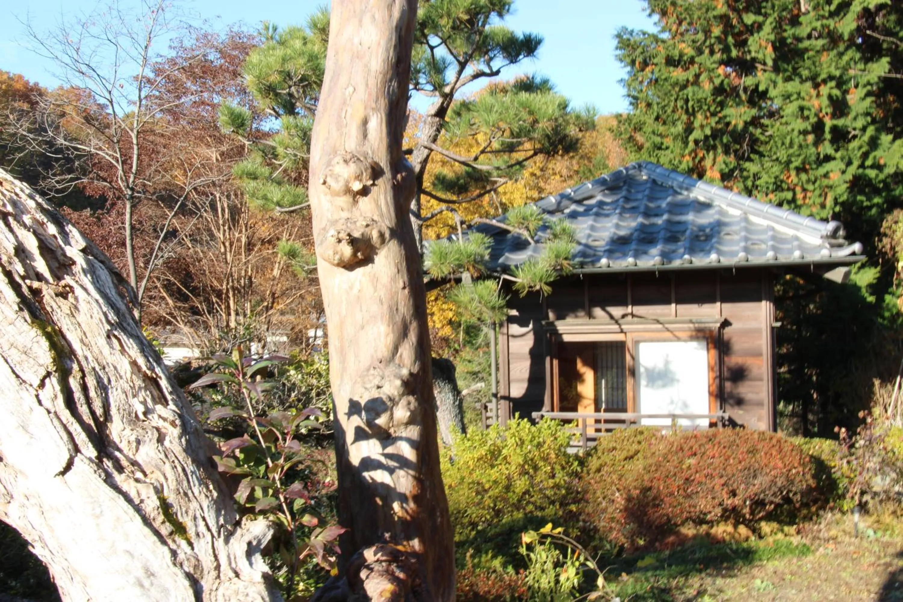 Kougetsu Sanso -- Moon Villa in Tokyo