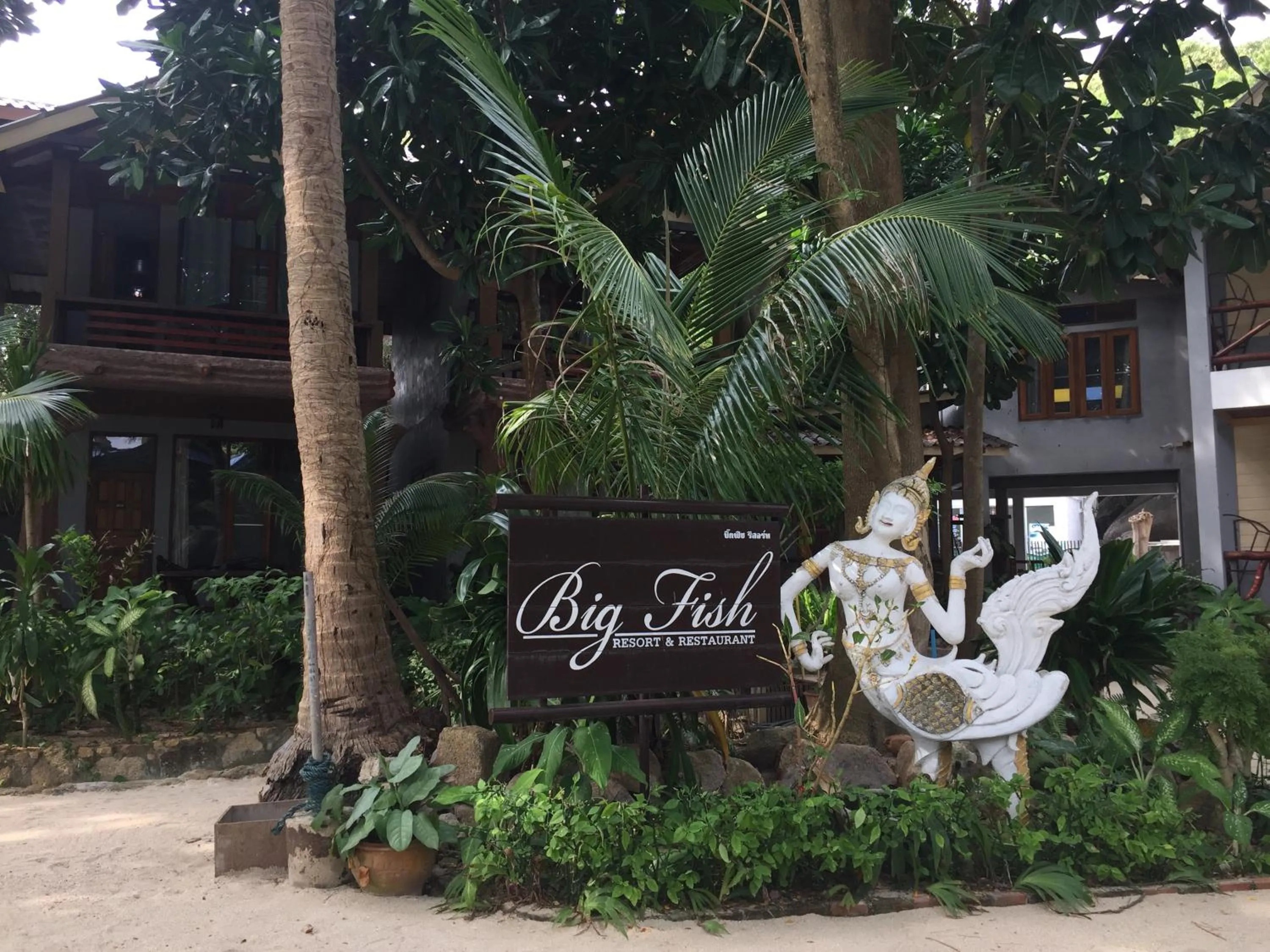 Big Fish Resort Koh Tao