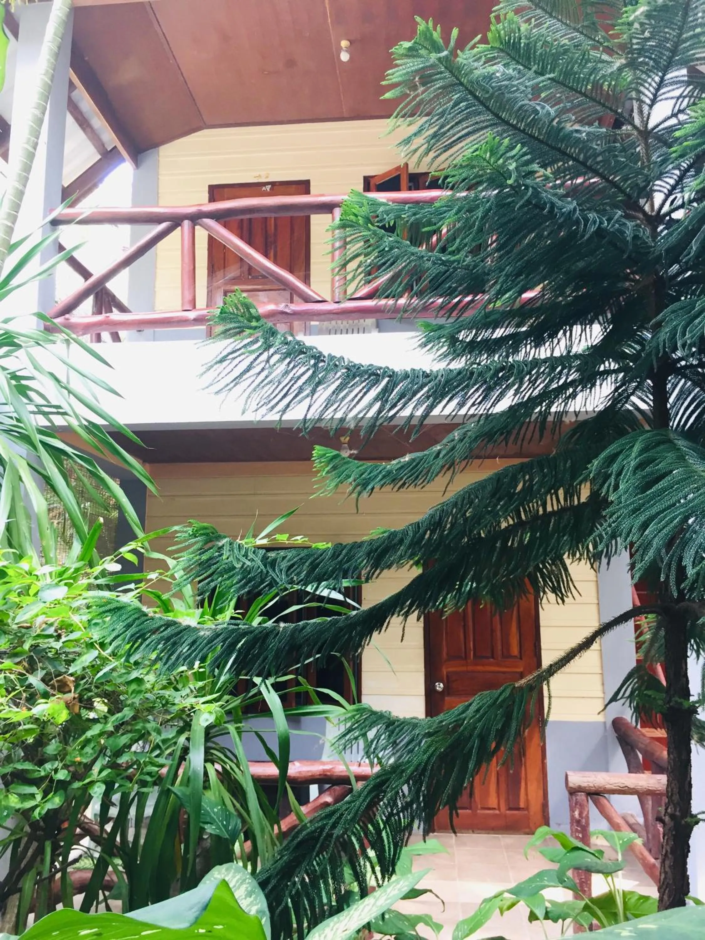 Big Fish Resort Koh Tao